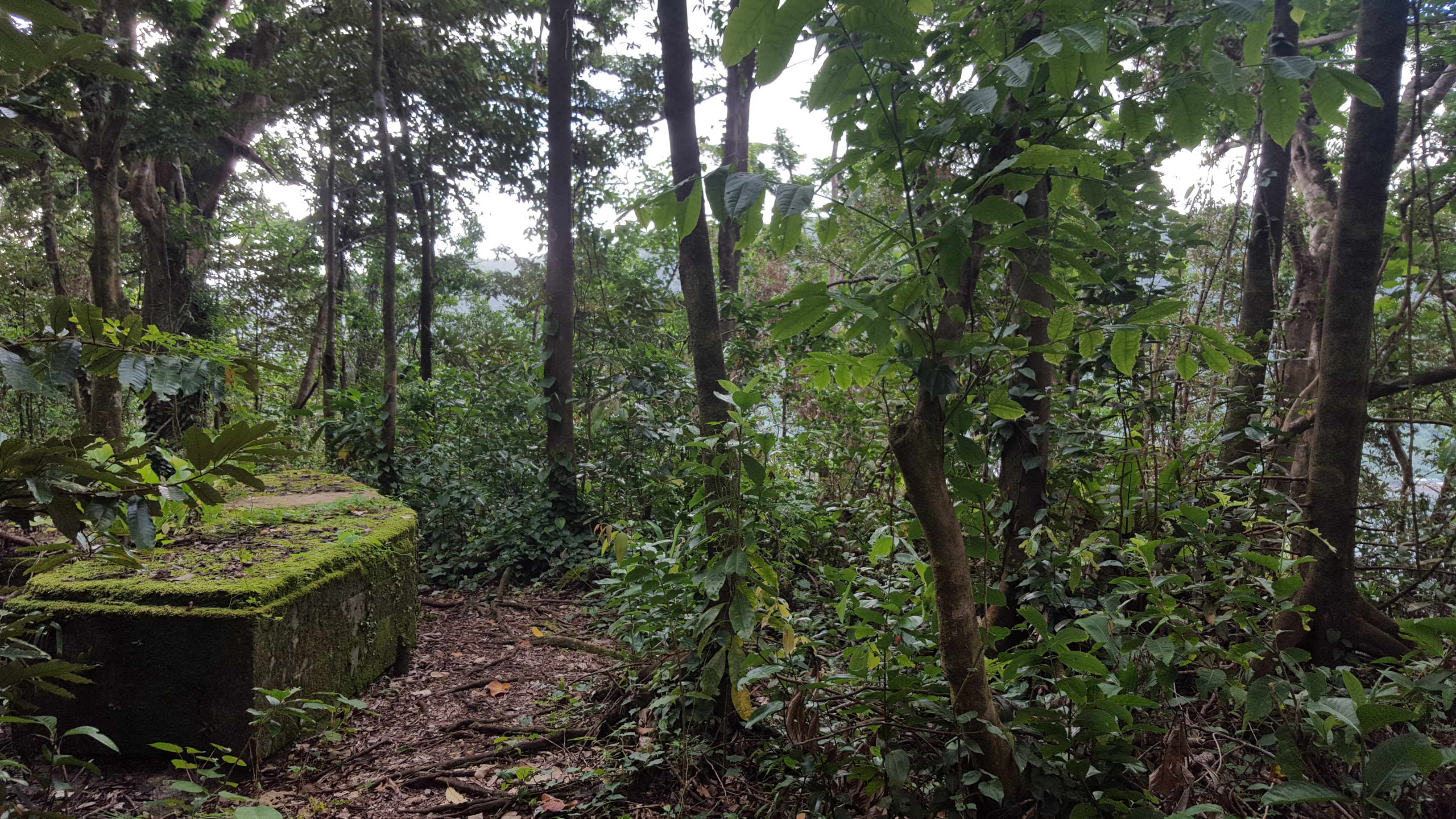 WWII encampments on the World War II Heritage Trail, National Park of American Samoa