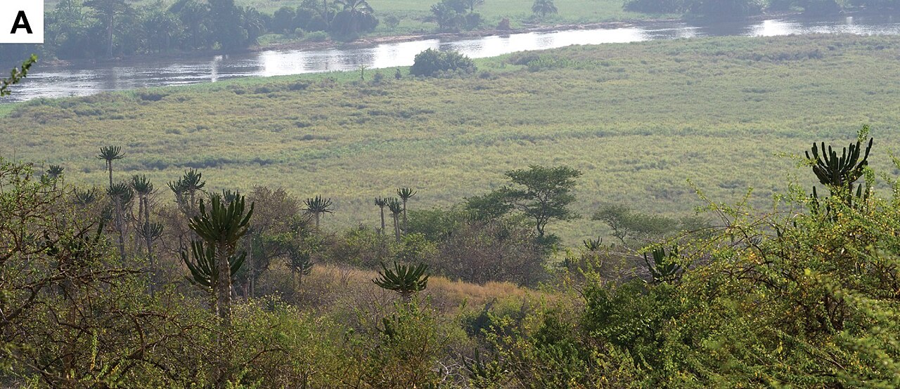 Kwanza River and savannah, Kissama National Park, Angola