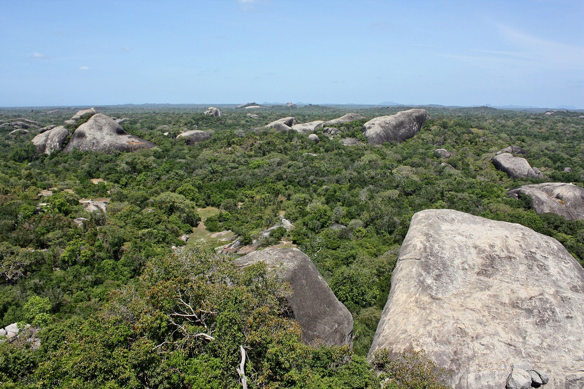 Wetland and forest scenery in Kumana National Park, eastern Sri Lanka