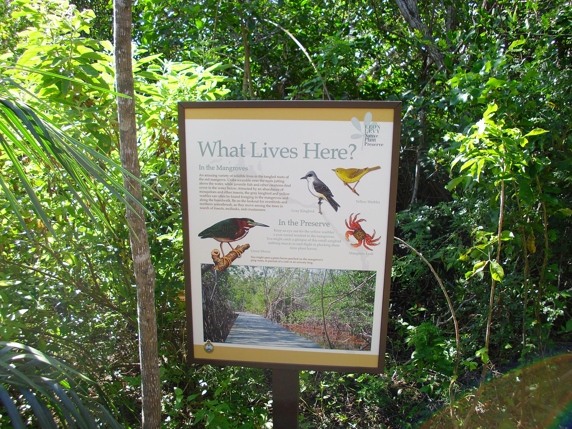 Leon Levy Native Plant Preserve, Governor's Harbour, Eleuthera