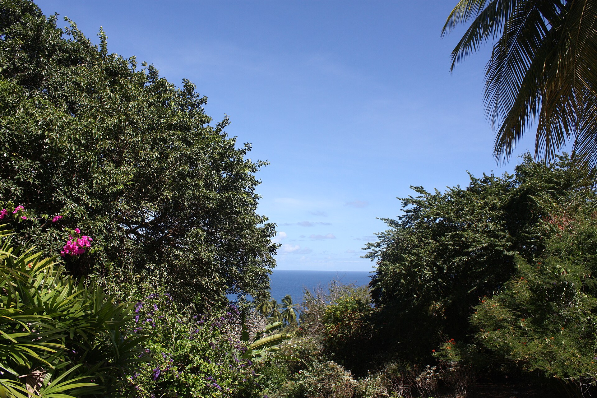 Andromeda Botanic Gardens, Bathsheba, Barbados