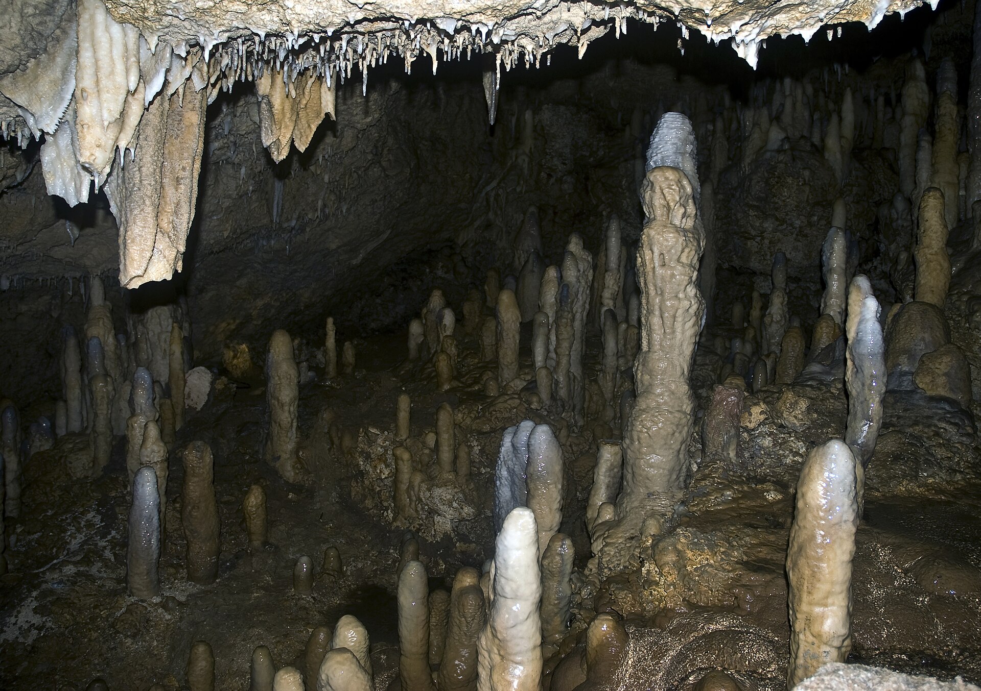 Harrison's Cave, Barbados