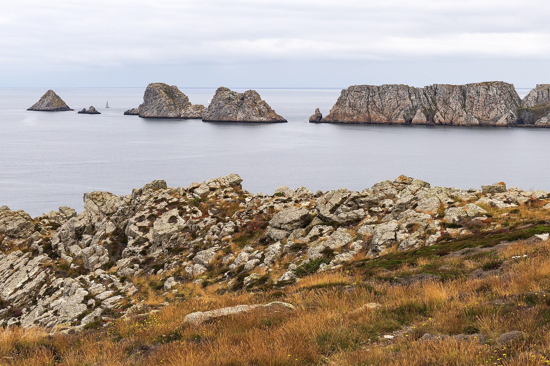 Tas de Pois rock islets and seabird colony, Crozon Peninsula