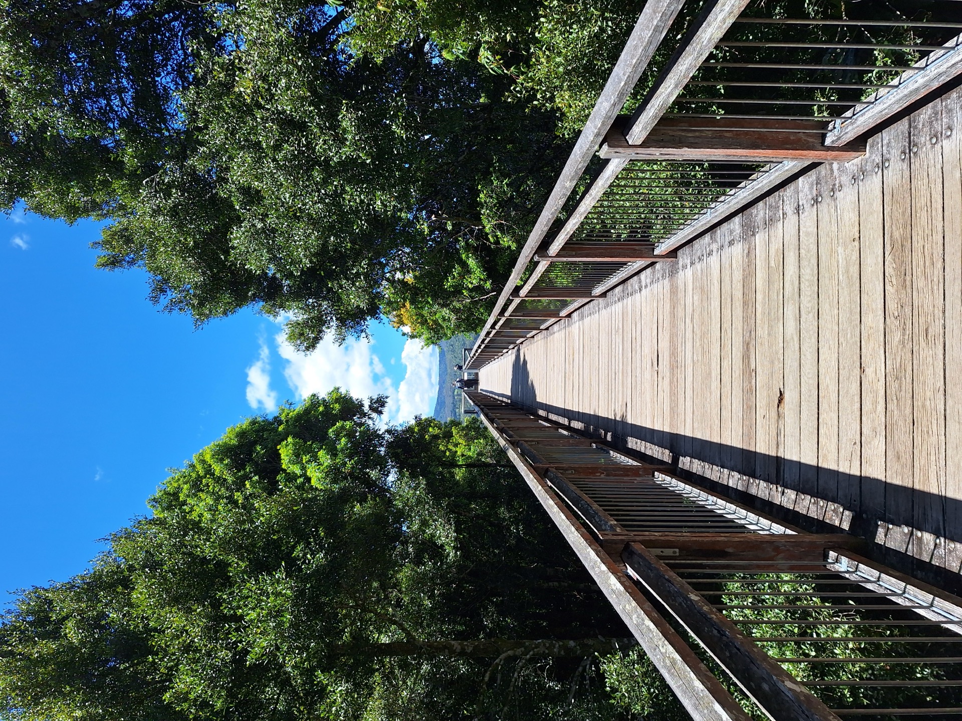 Skywalk lookout, Dorrigo National Park, New South Wales, Australia