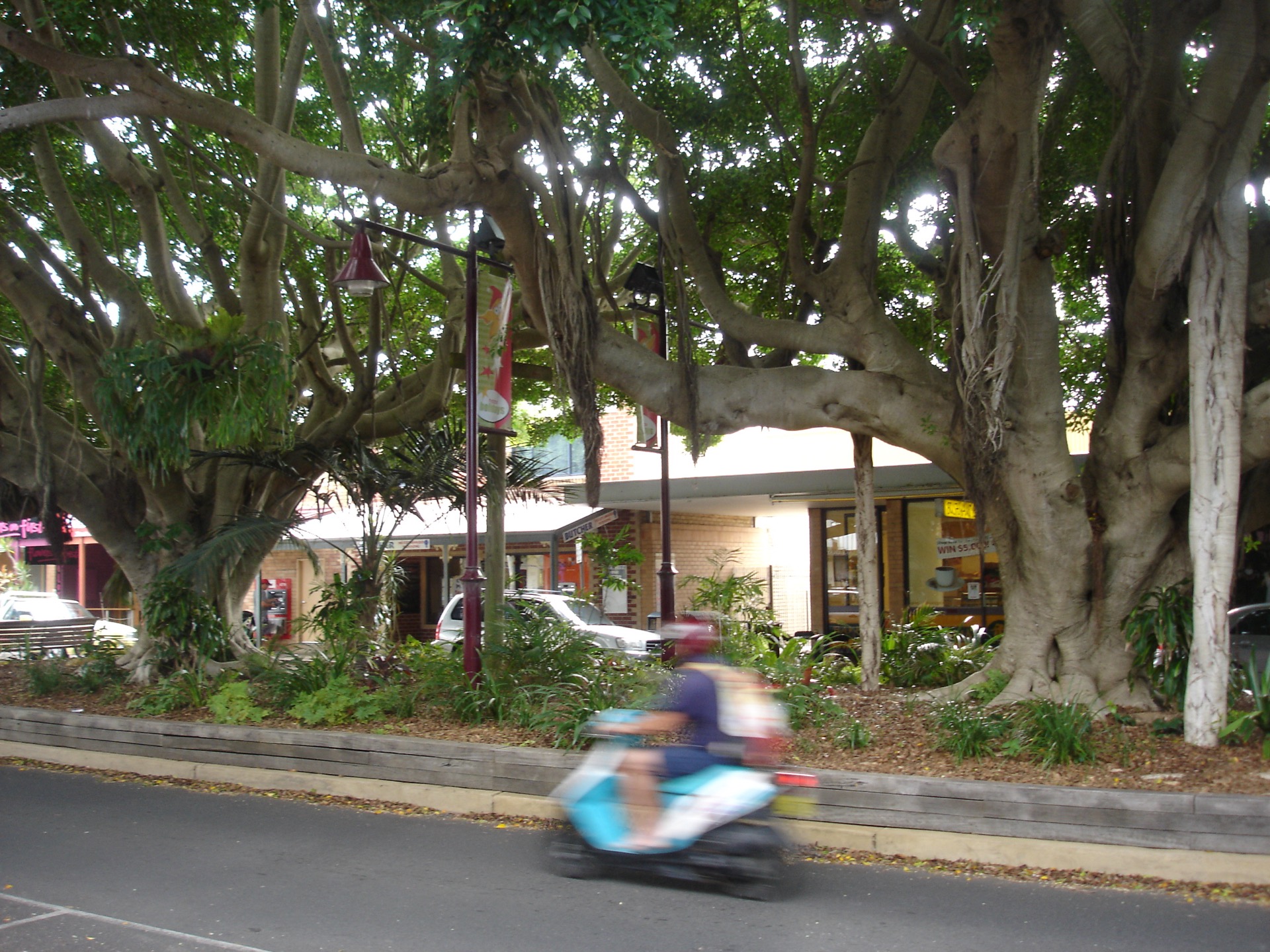 First Avenue, Sawtell, New South Wales, Australia