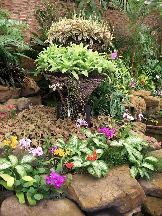 Ernest Thorp Orchid House interior, Durban Botanic Gardens