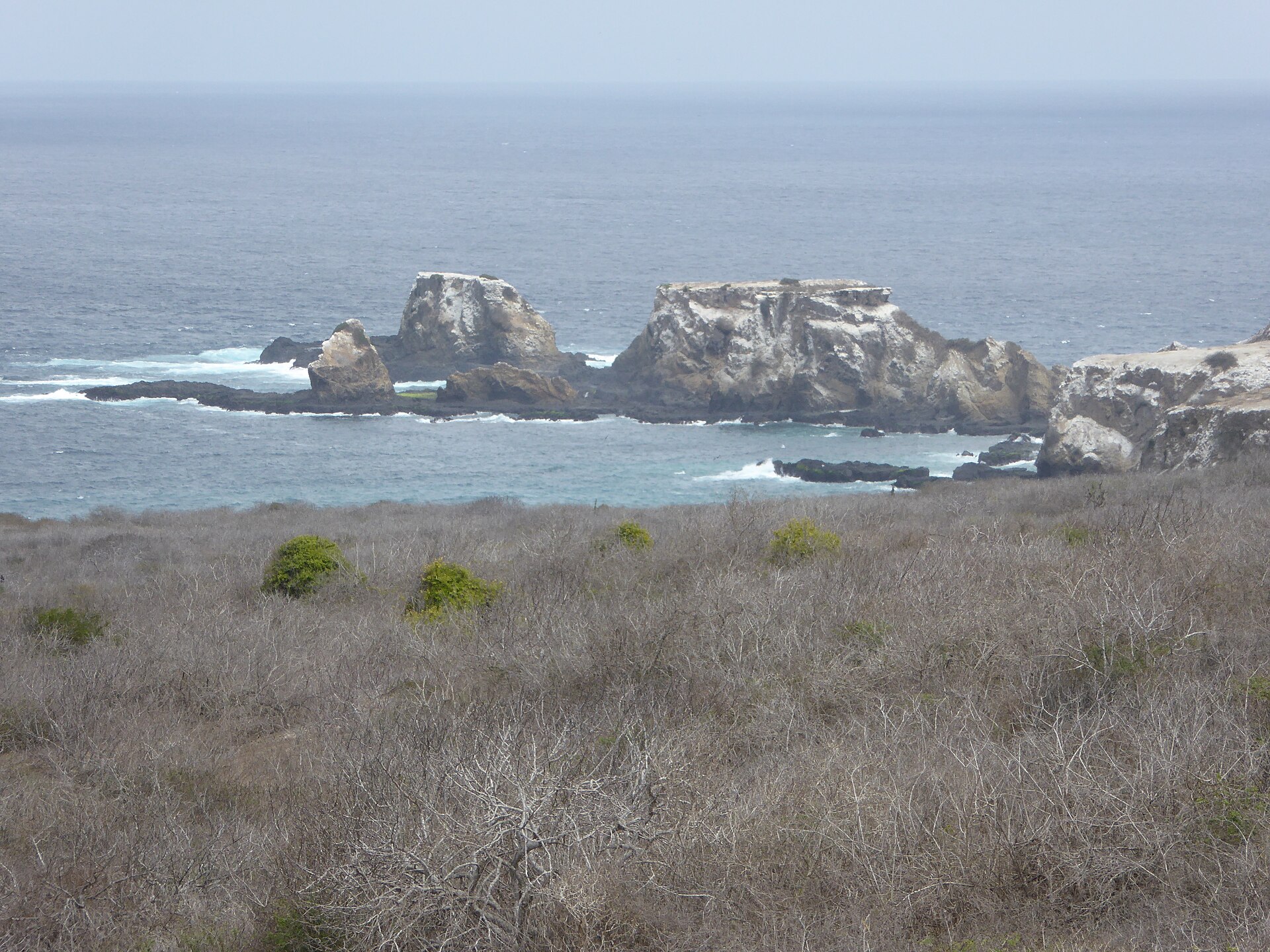 Isla de la Plata, Machalilla National Park, Ecuador