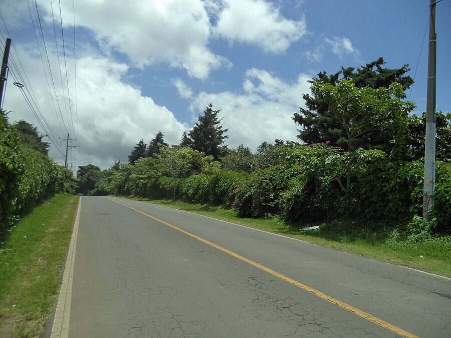 Ruta de las Flores