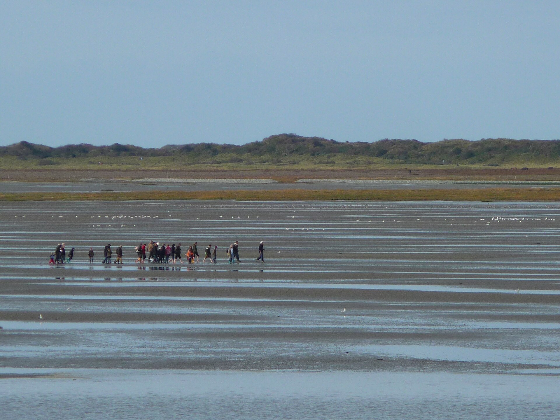Guided mudflat hike, Wadden Sea, Germany