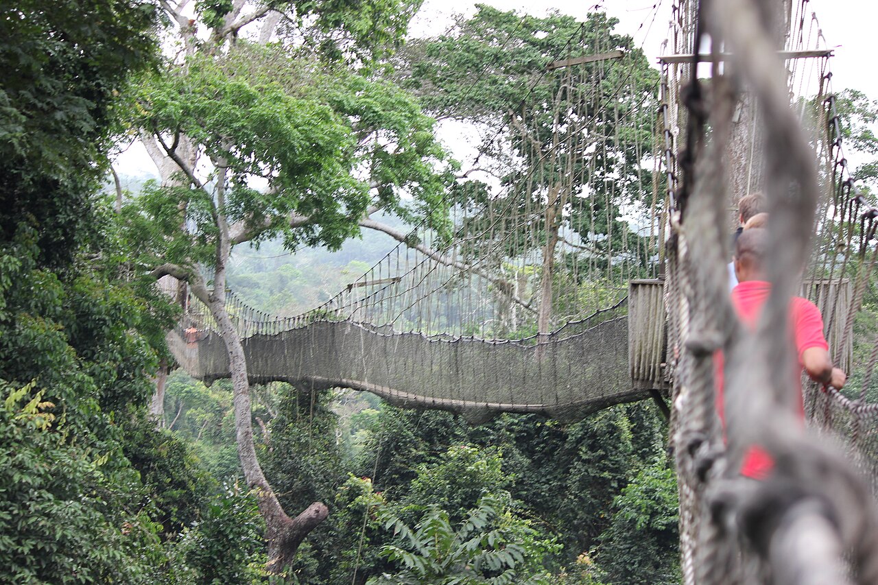 Kakum National Park canopy walkway, Ghana