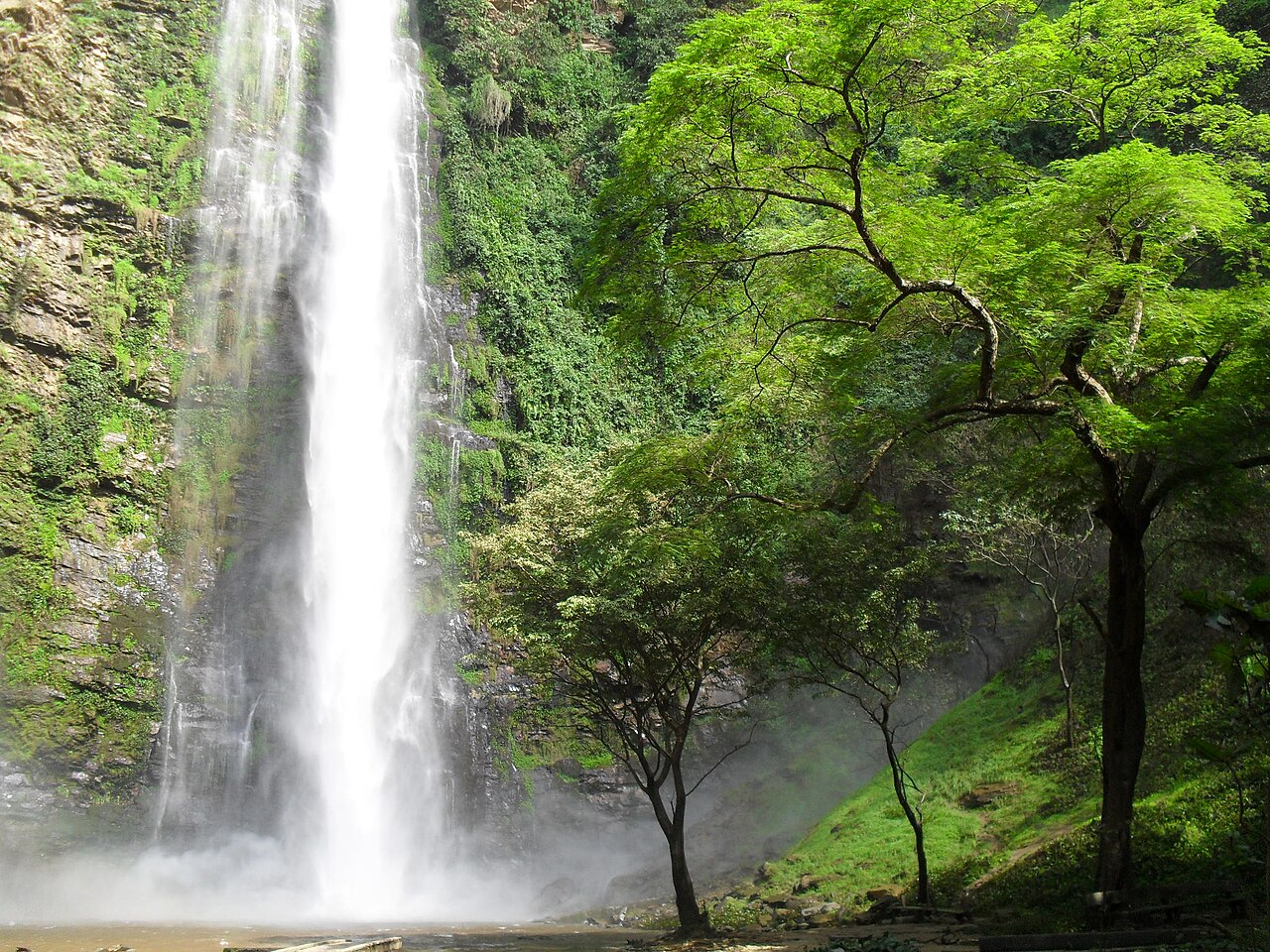 Wli Waterfalls, Ghana