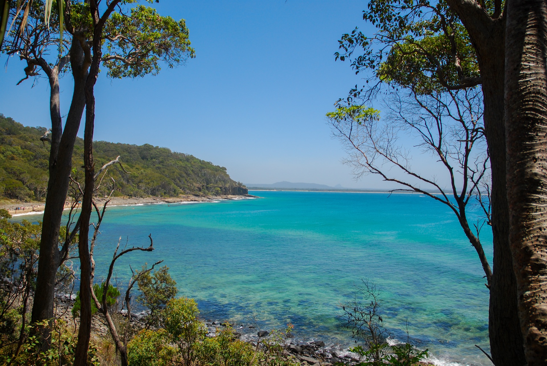 Noosa Coastal Walk, Noosa National Park, Queensland, Australia
