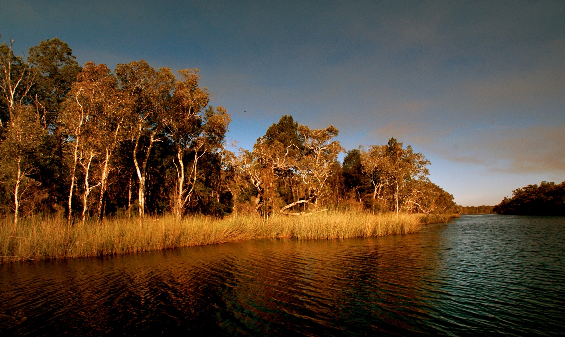 The Noosa Everglades, Great Sandy National Park, Queensland, Australia