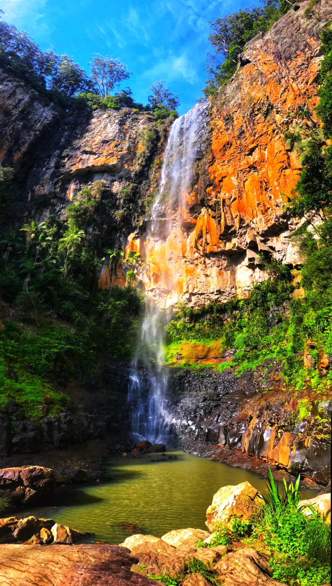 Purling Brook Falls, Springbrook National Park, Queensland, Australia