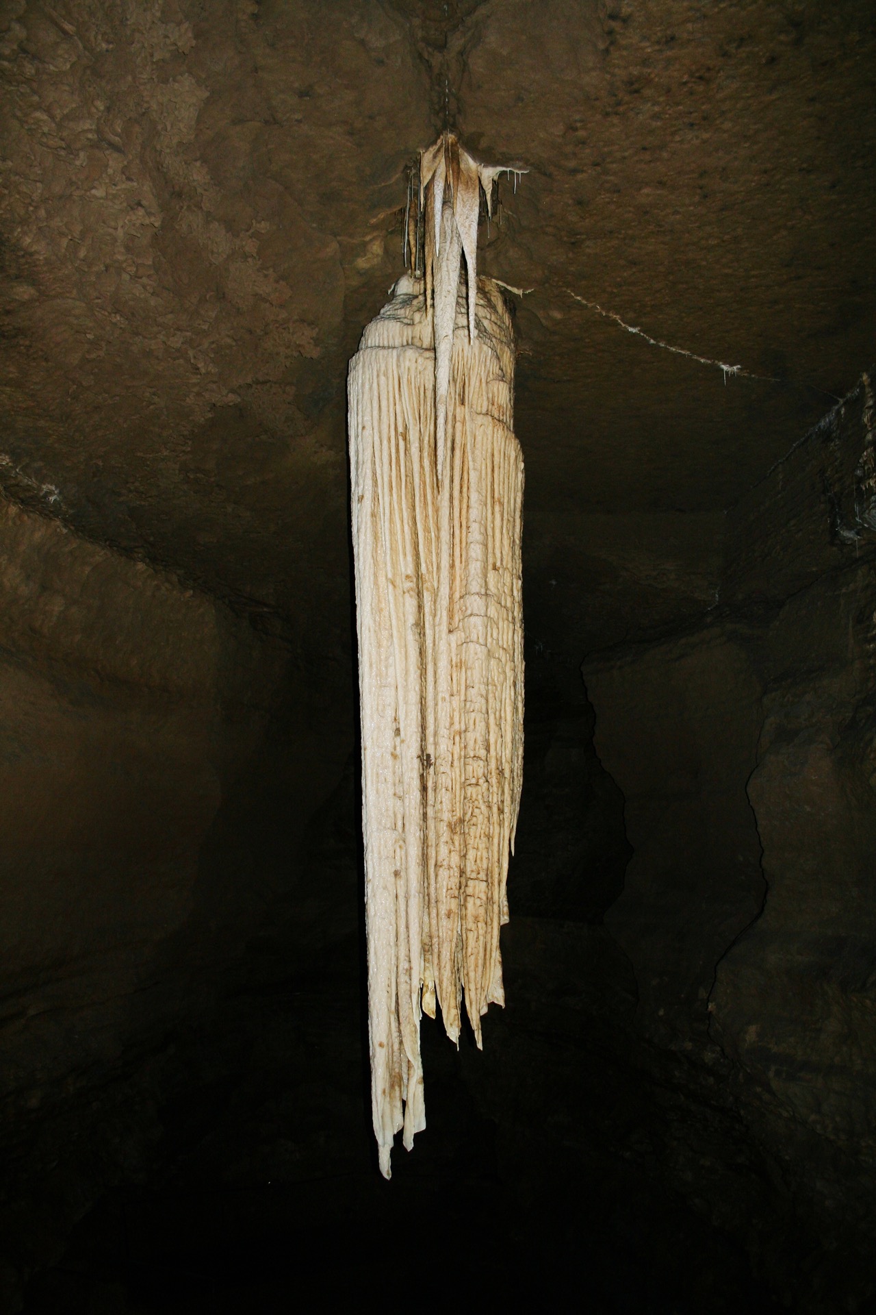 Doolin Cave's Great Stalactite, County Clare