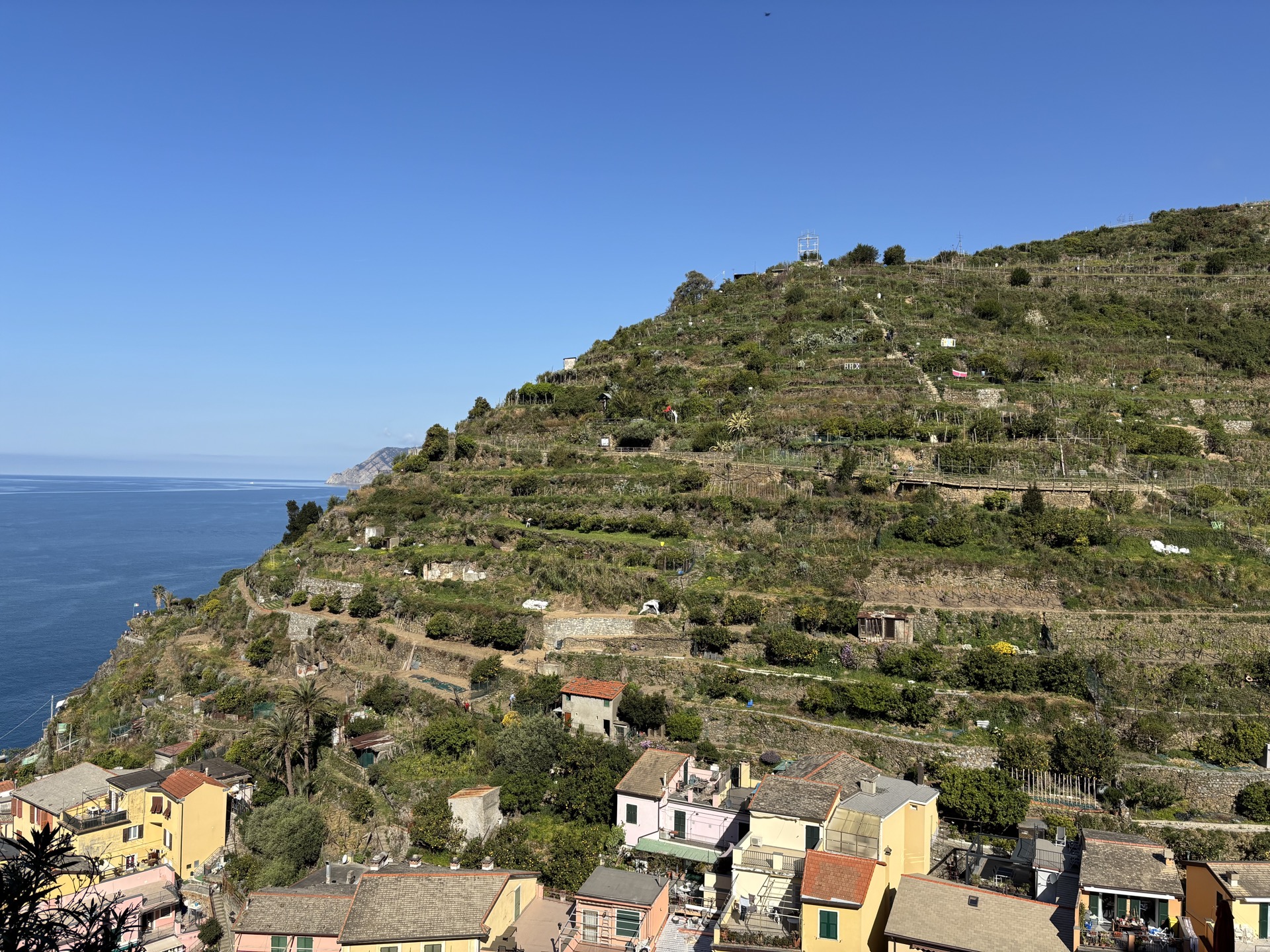 Terraced vineyards above Manarola, Cinque Terre