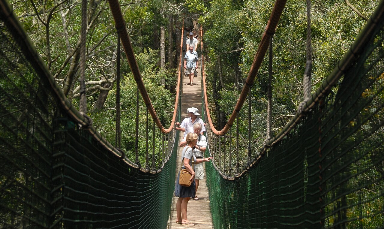 The 128m forest-canopy suspension bridge at Monkeyland