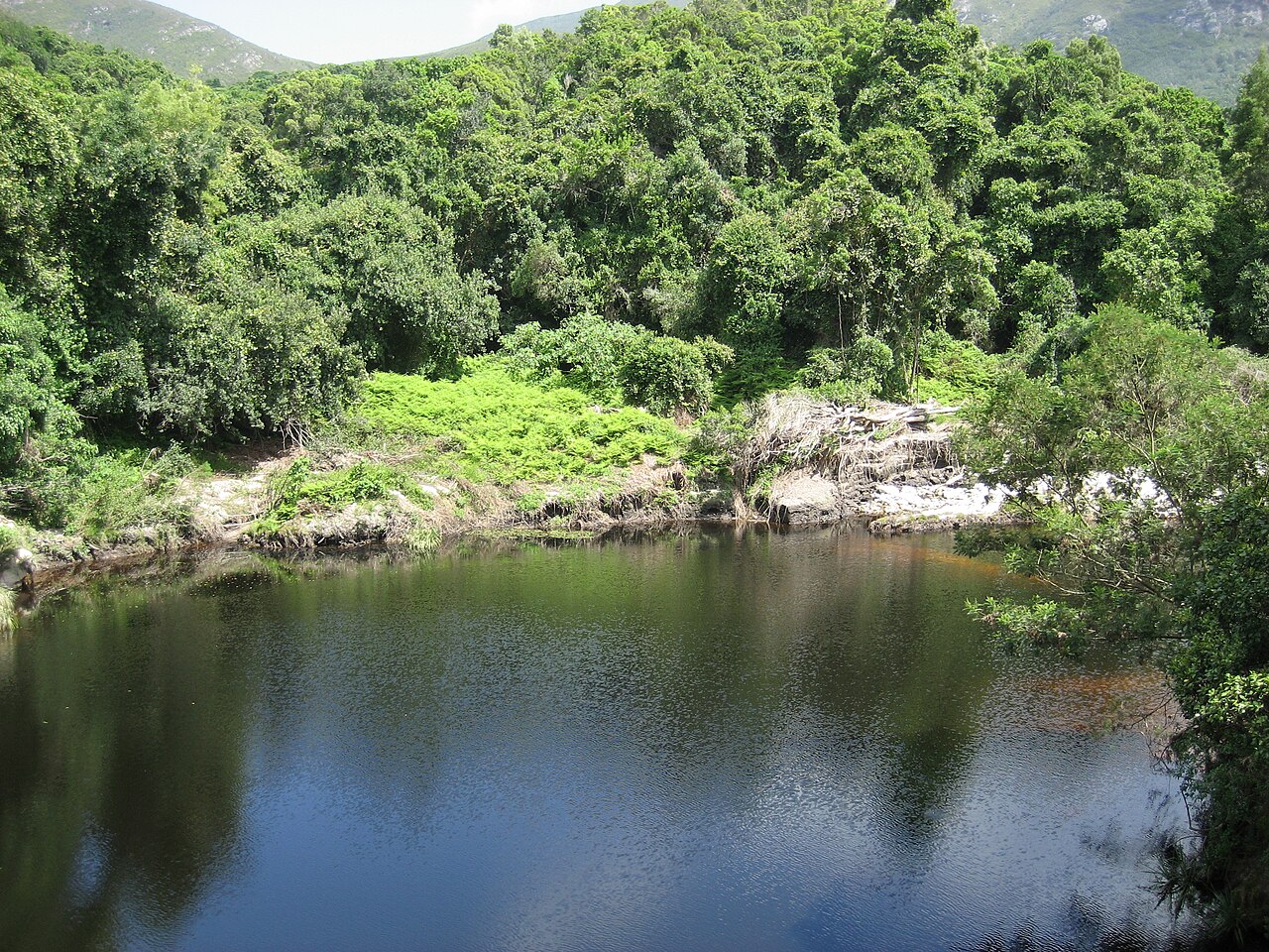 Landscape view of Wilderness National Park