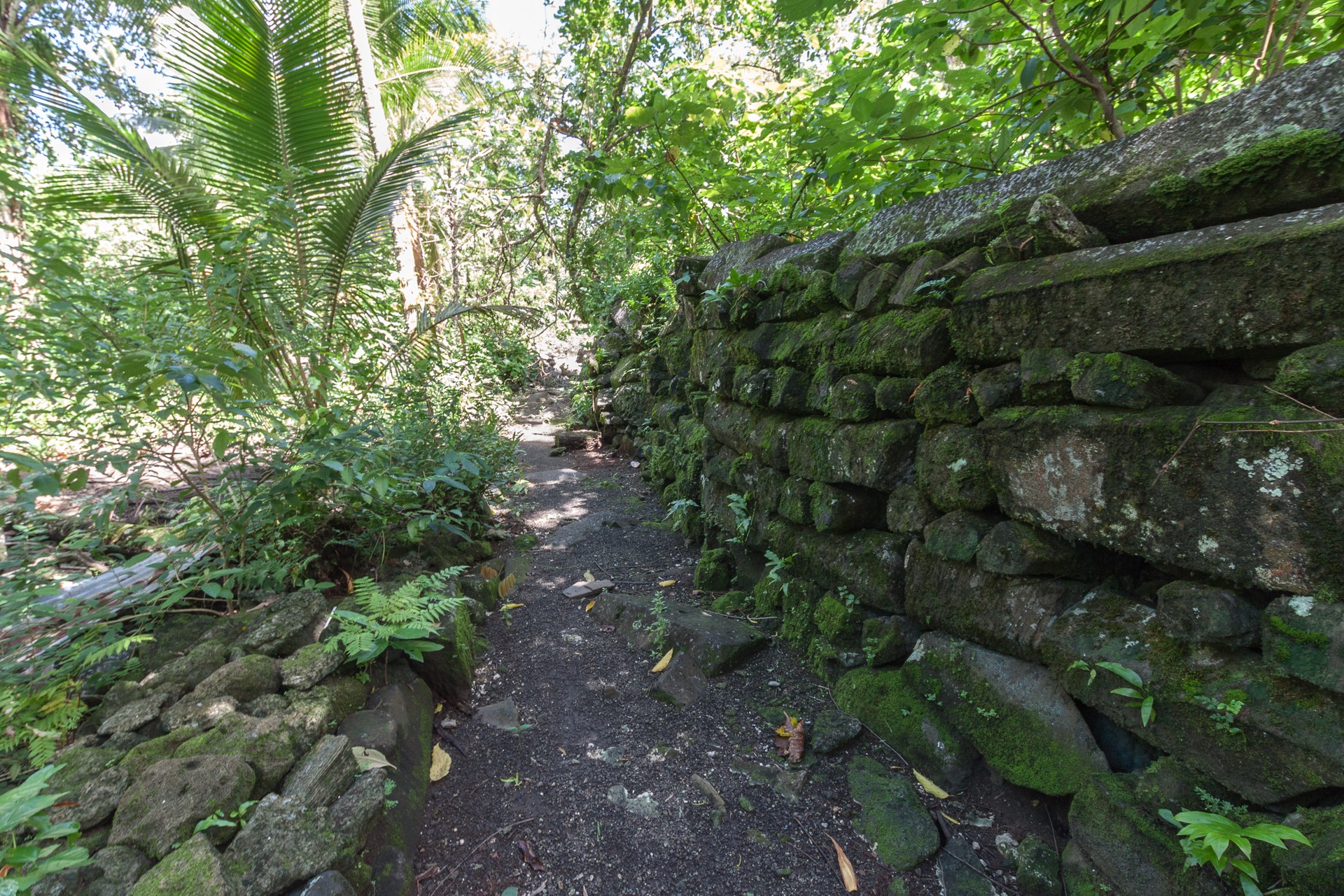 Lelu Ruins, ancient megalithic city, Kosrae, Micronesia