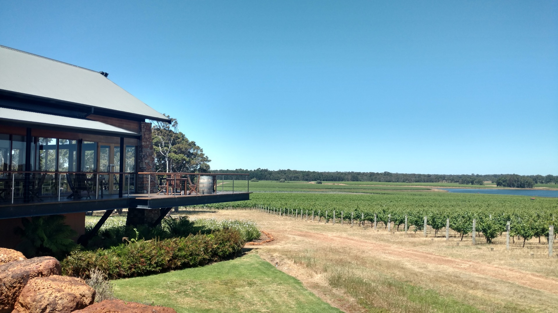 Vineyard in the Margaret River wine region, Western Australia, Australia