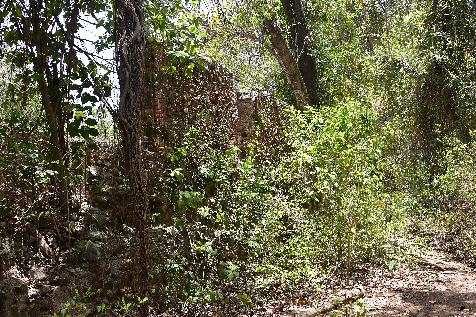 Château Dubuc ruins, Presqu'île de la Caravelle, Martinique