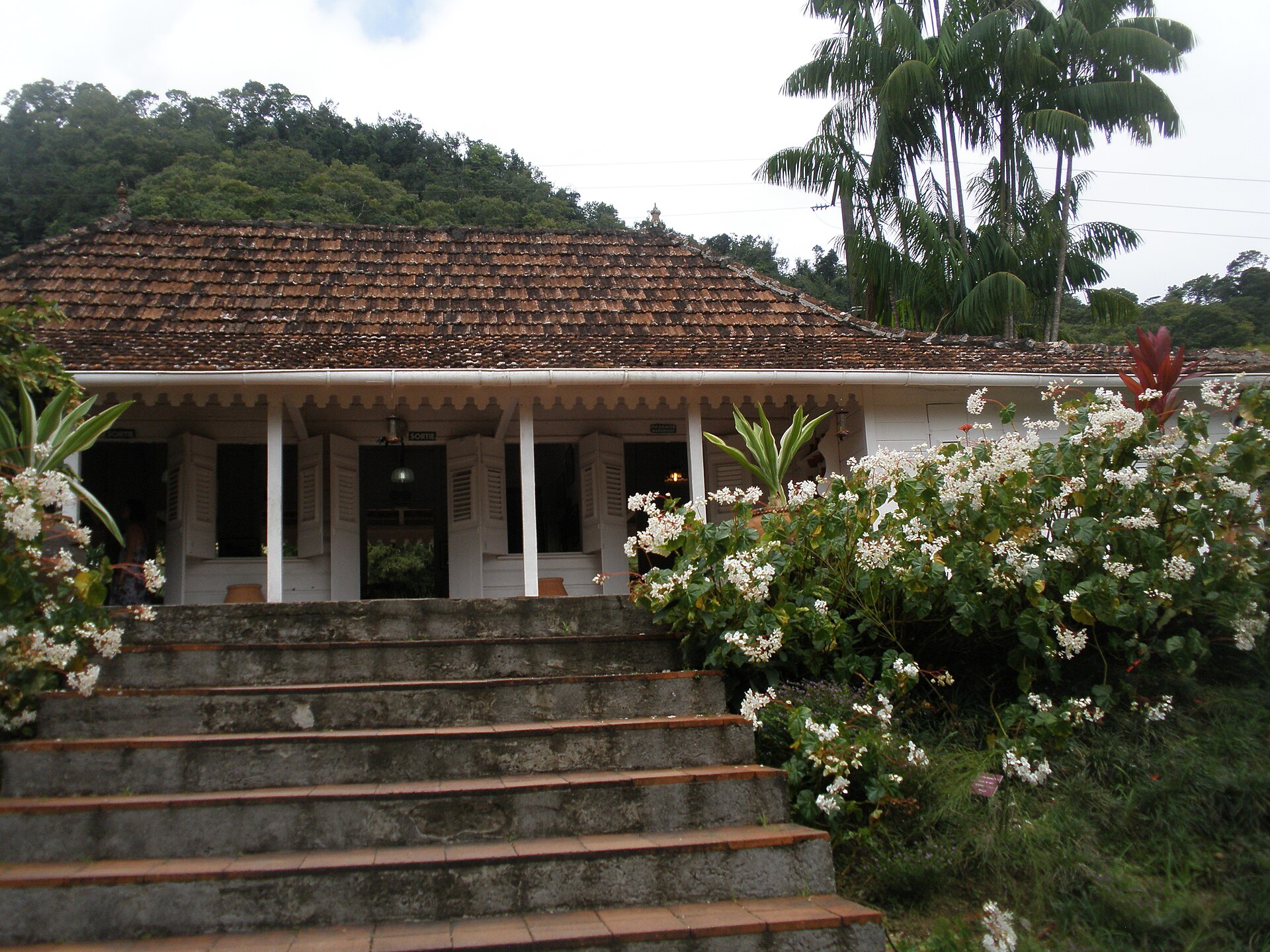 Jardin de Balata botanical garden, Martinique
