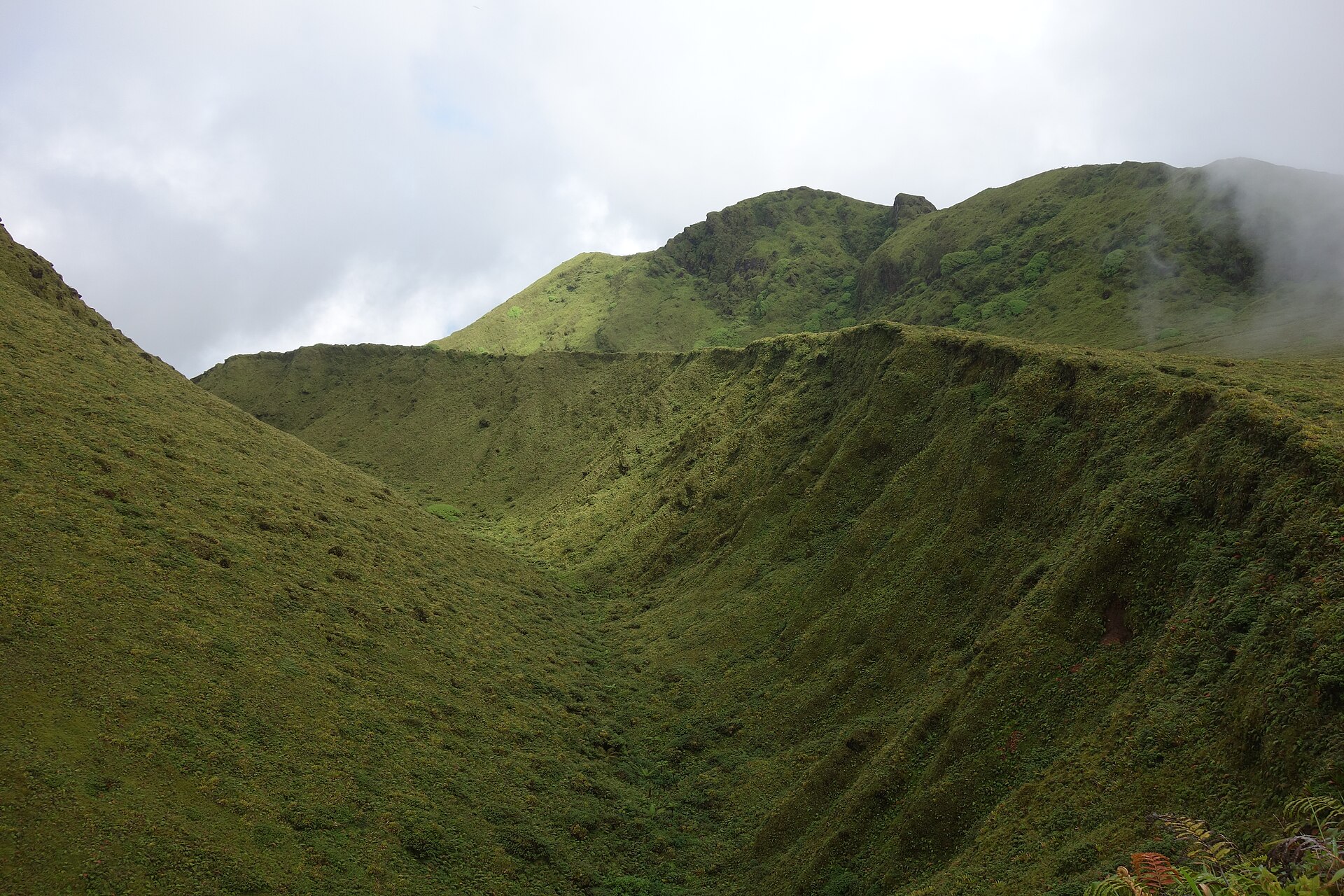 Crater and summit domes of Mont Pelée, Martinique