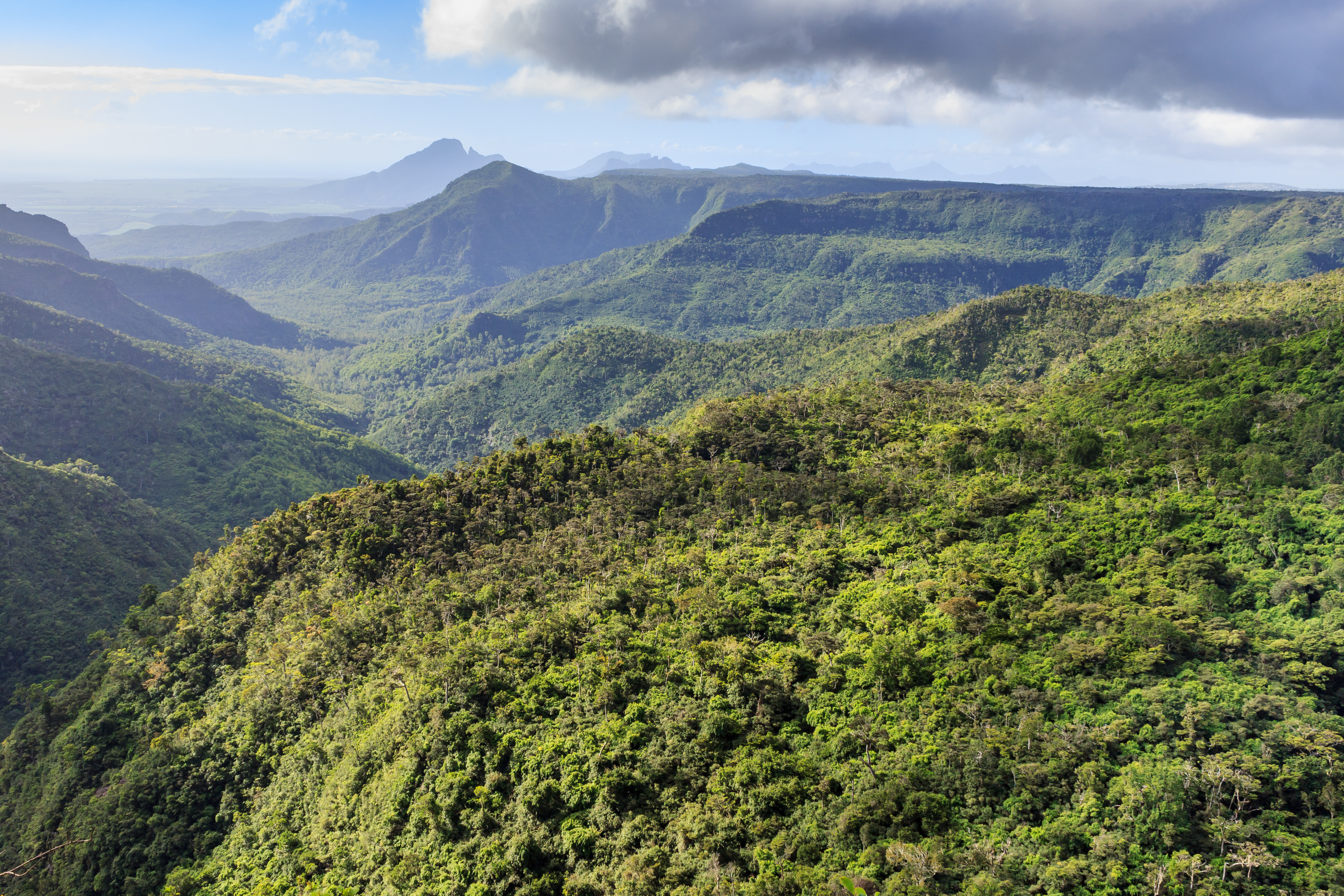 Forested ridgelines and gorges of Black River Gorges National Park, Mauritius's largest protected wilderness