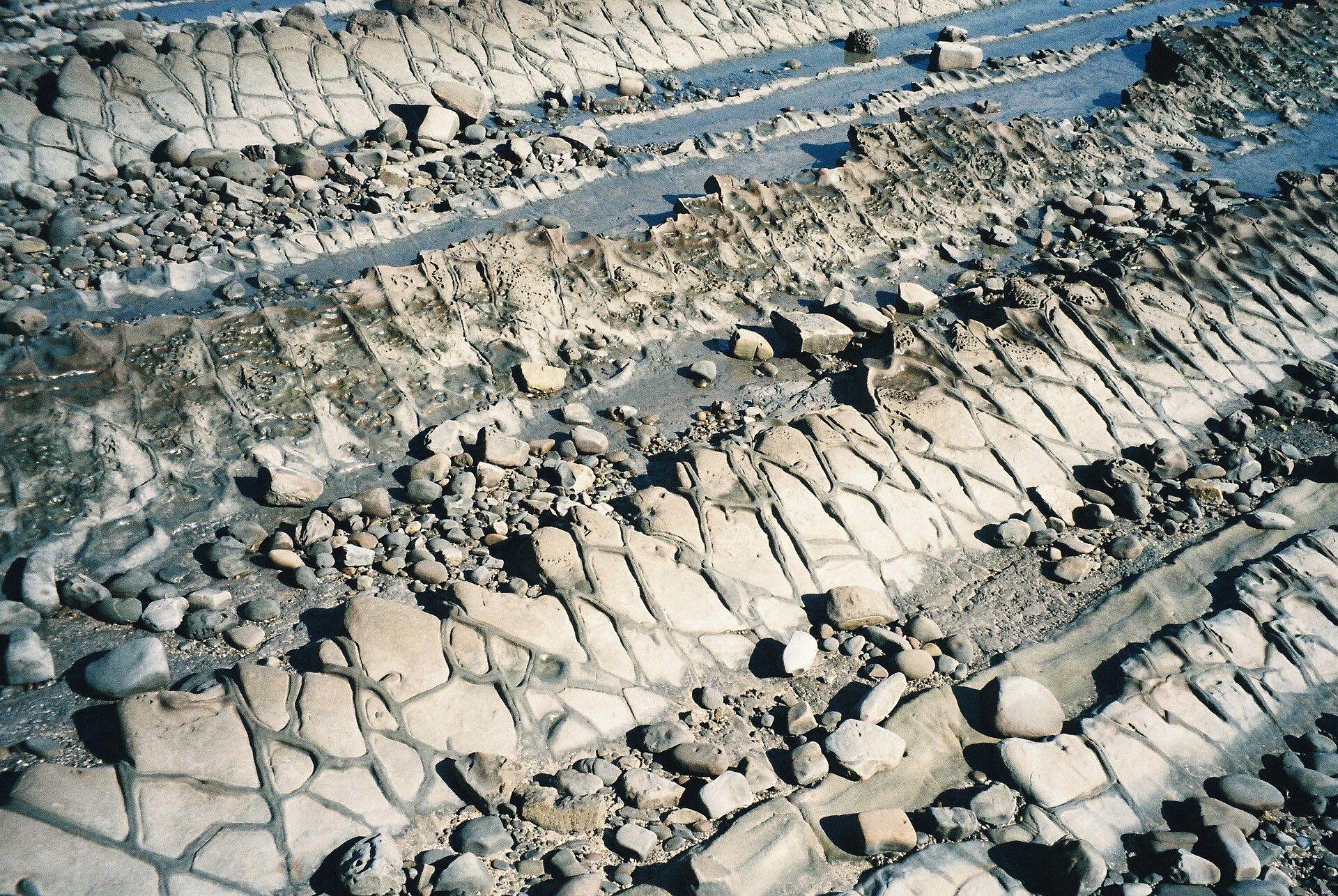 Oni no Sentakuita, the Devil's Washboard rock formation ringing Aoshima Island, Miyazaki, Japan