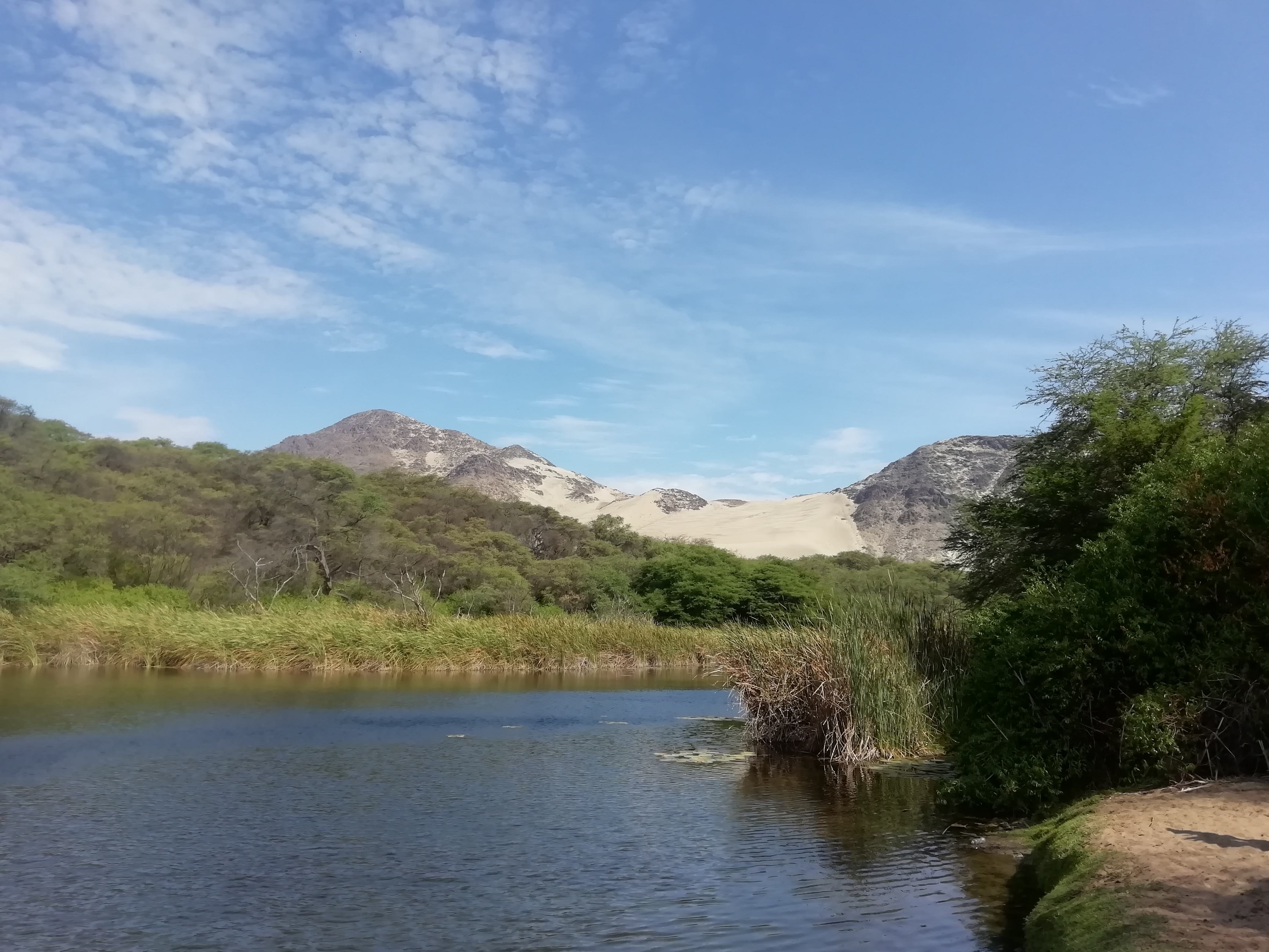 Laguna Cañoncillo, a desert oasis and dune system near Pacasmayo, Peru