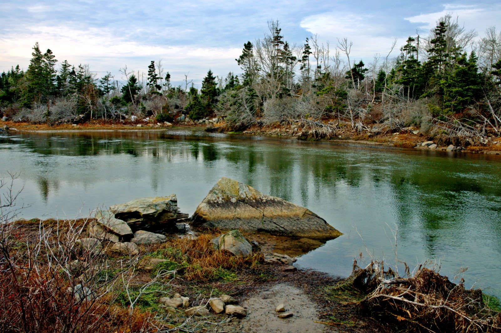 Salt Marsh Trail, Cole Harbour Heritage Park