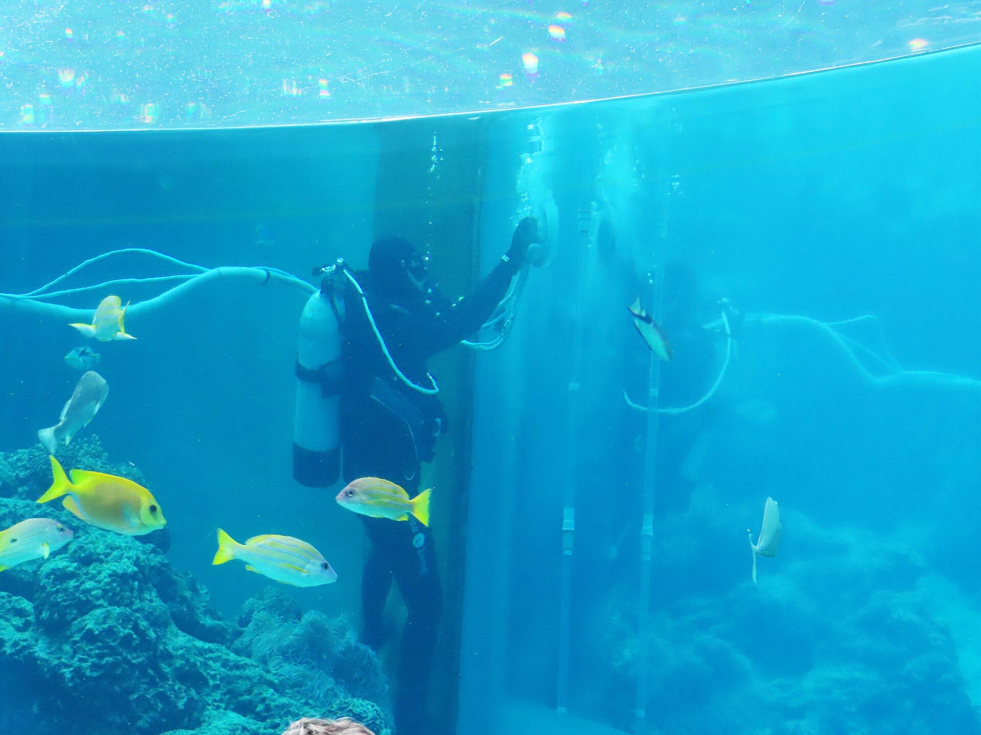 Visitors inside the main tank viewing area at Okinawa Churaumi Aquarium, Motobu, Japan