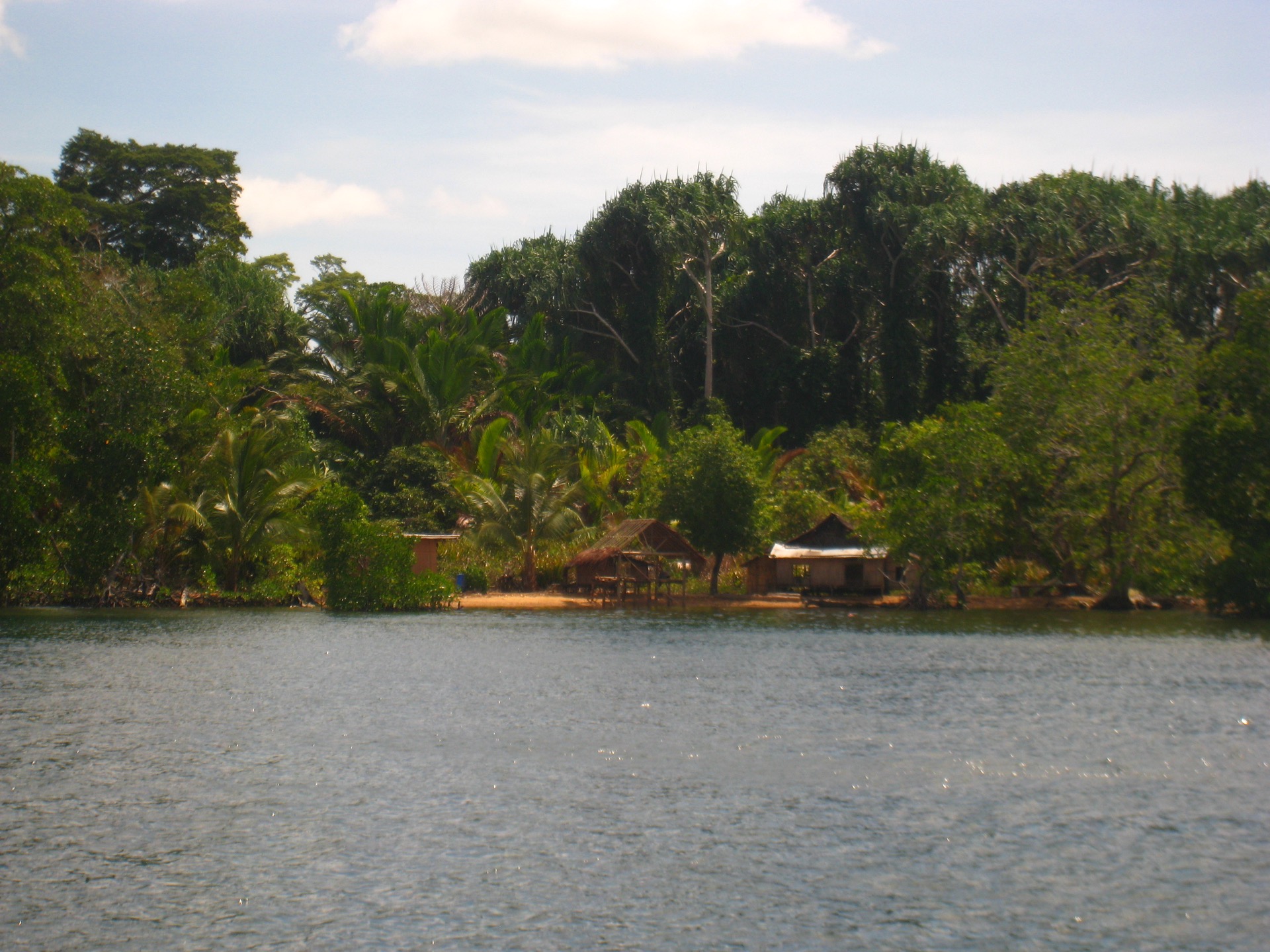 Underwater scene near Kavieng, New Ireland, Papua New Guinea