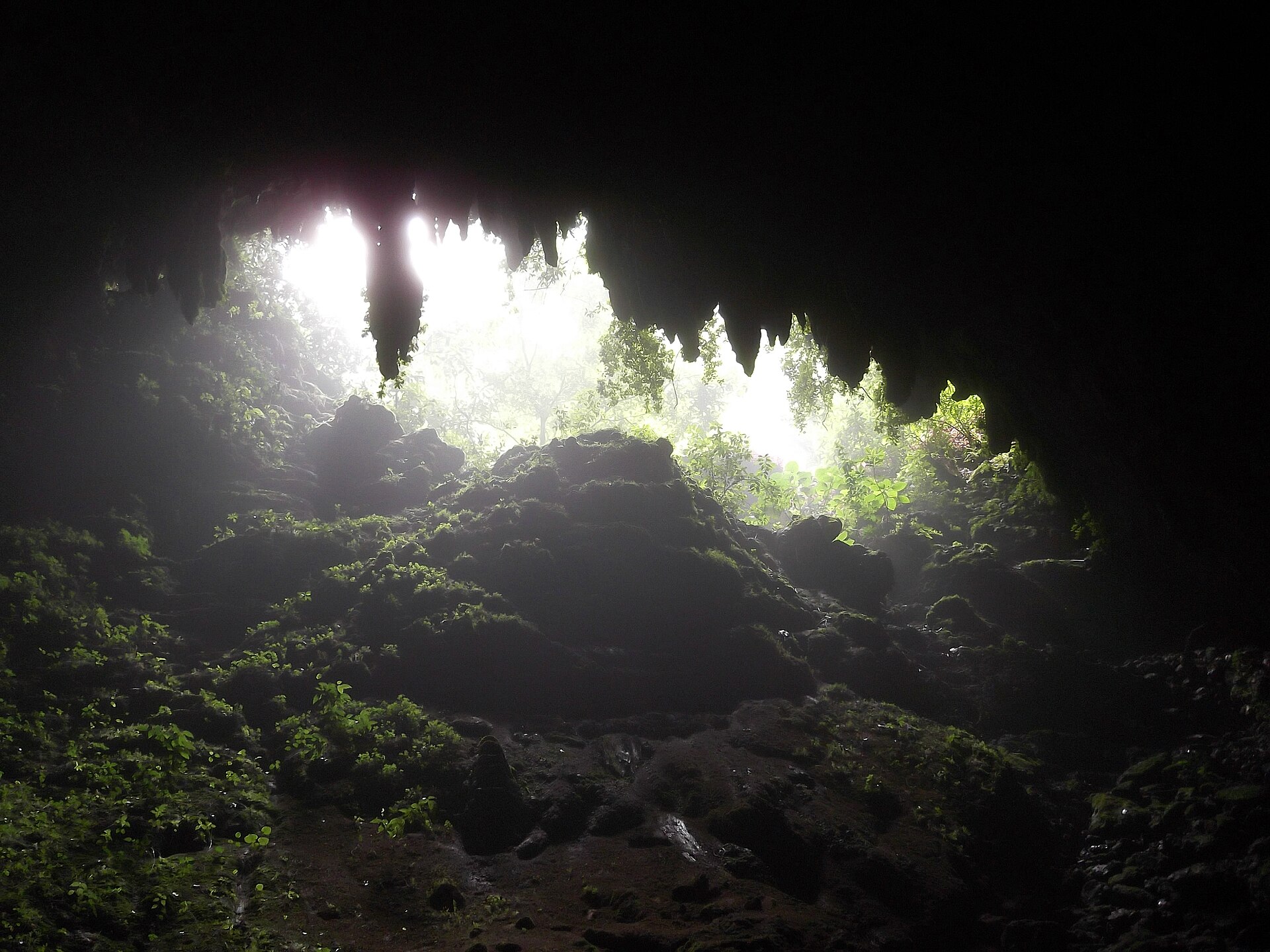 Río Camuy Cave Park, Puerto Rico