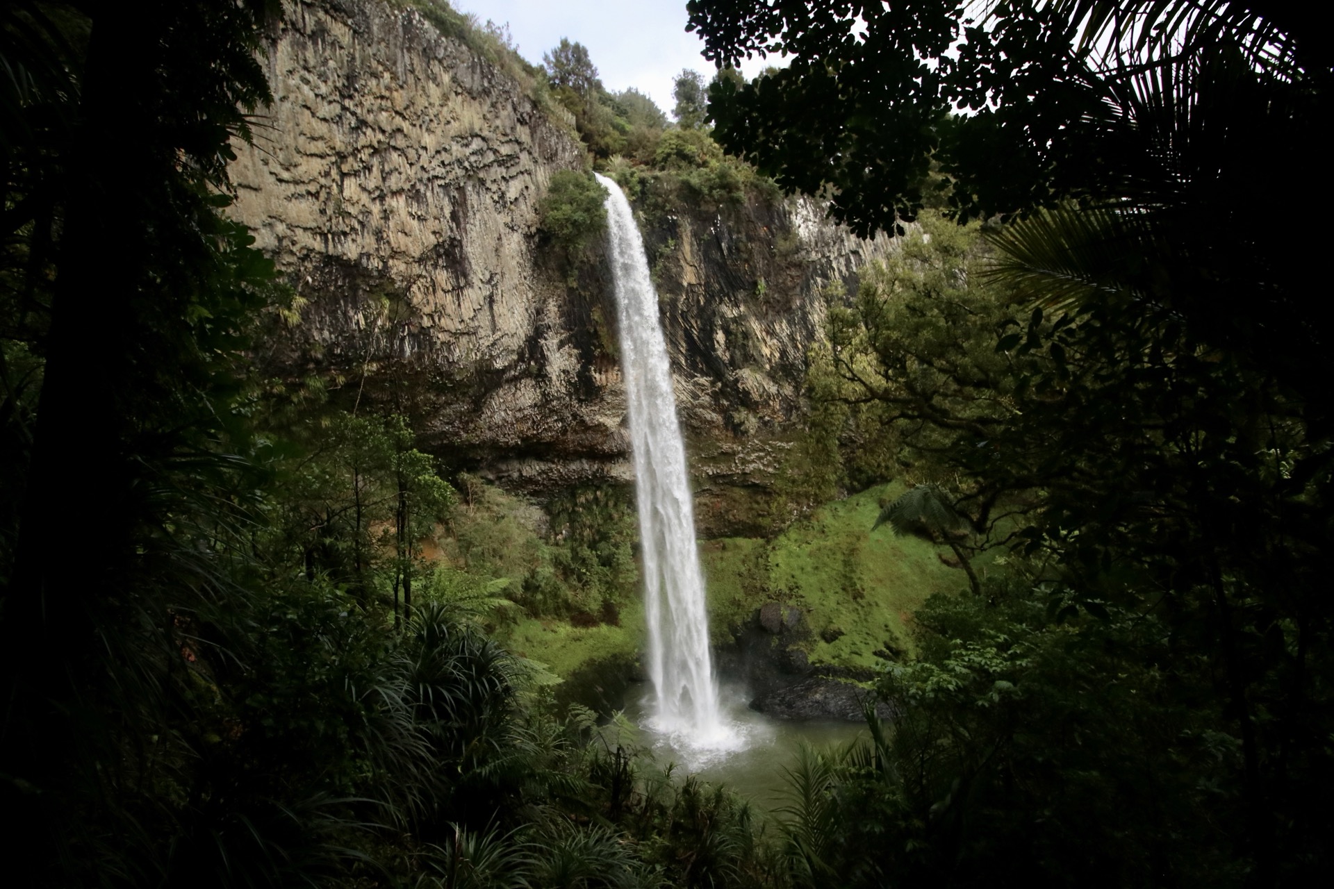 Wairēinga / Bridal Veil Falls, Waikato, New Zealand