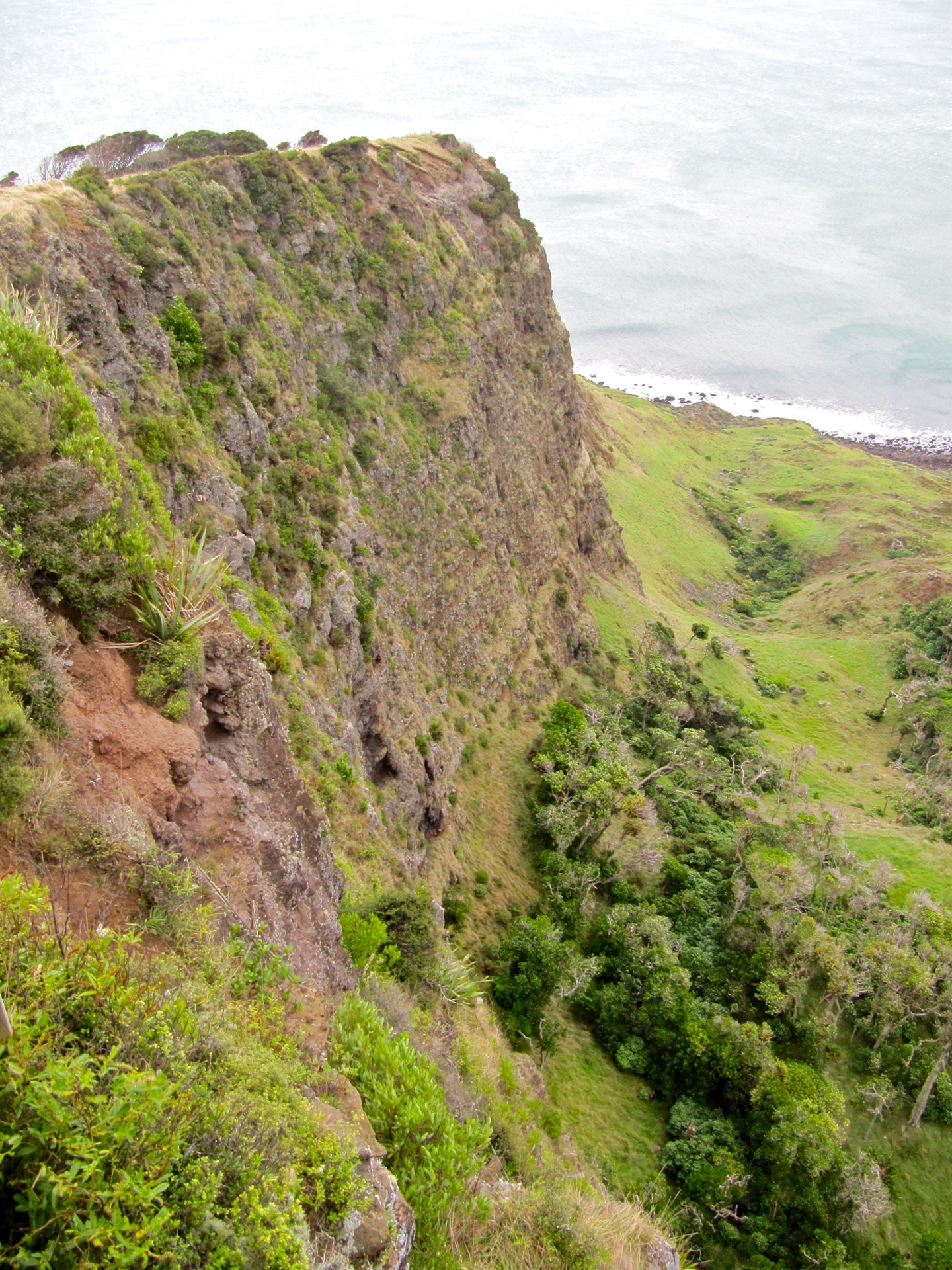 Te Toto Gorge, Mount Karioi trailhead, near Raglan, New Zealand