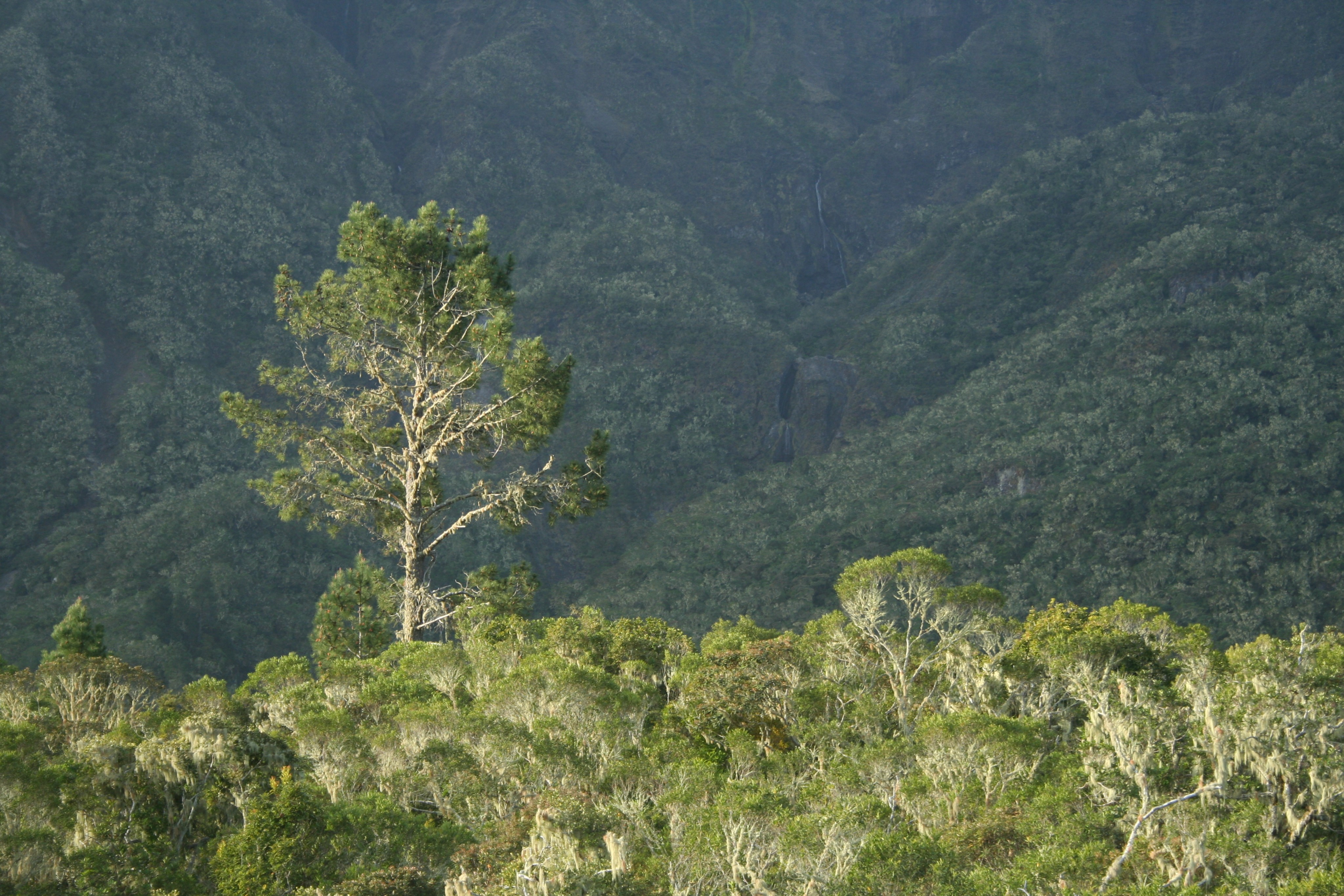 Panoramic view of the Cirque de Cilaos amphitheater, a volcanic caldera in Réunion's highlands