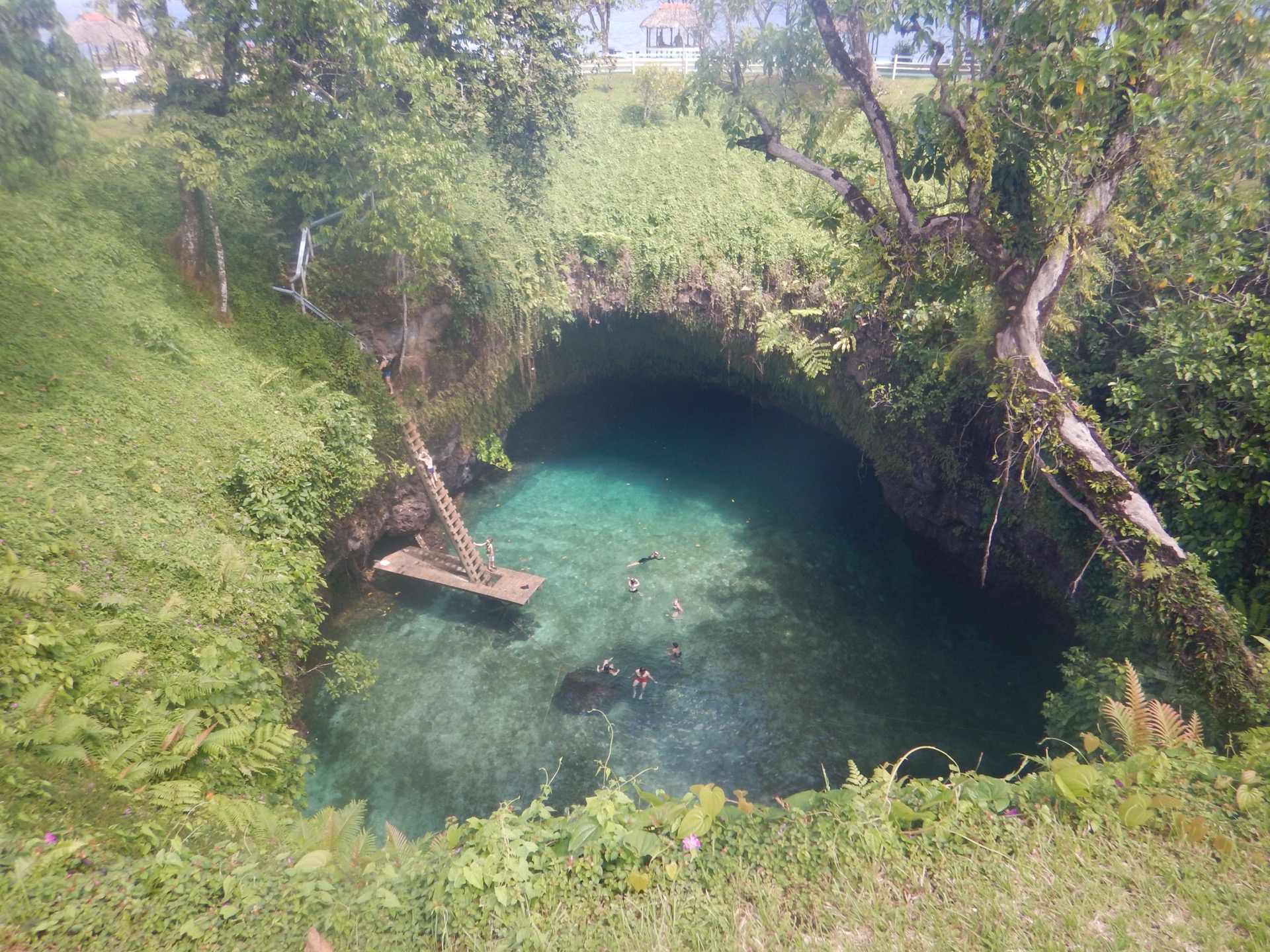 To Sua Ocean Trench, a natural swimming hole in Lotofaga village, Upolu, Samoa