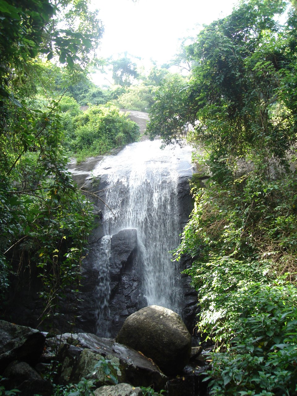 Cachoeira dos Três Tombos waterfall in the forested interior of Ilhabela, Brazil