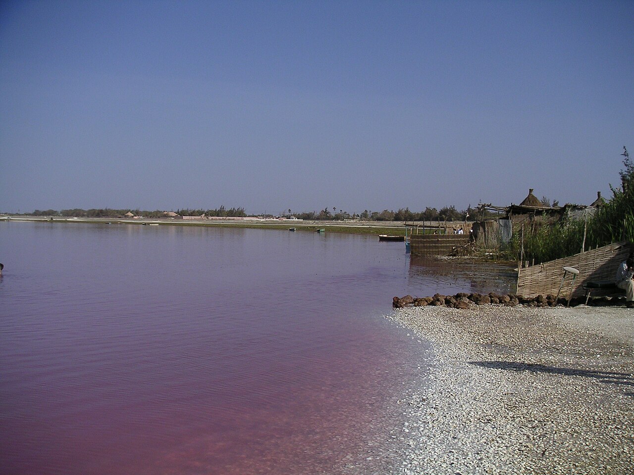 Pink waters of Lac Rose, Senegal