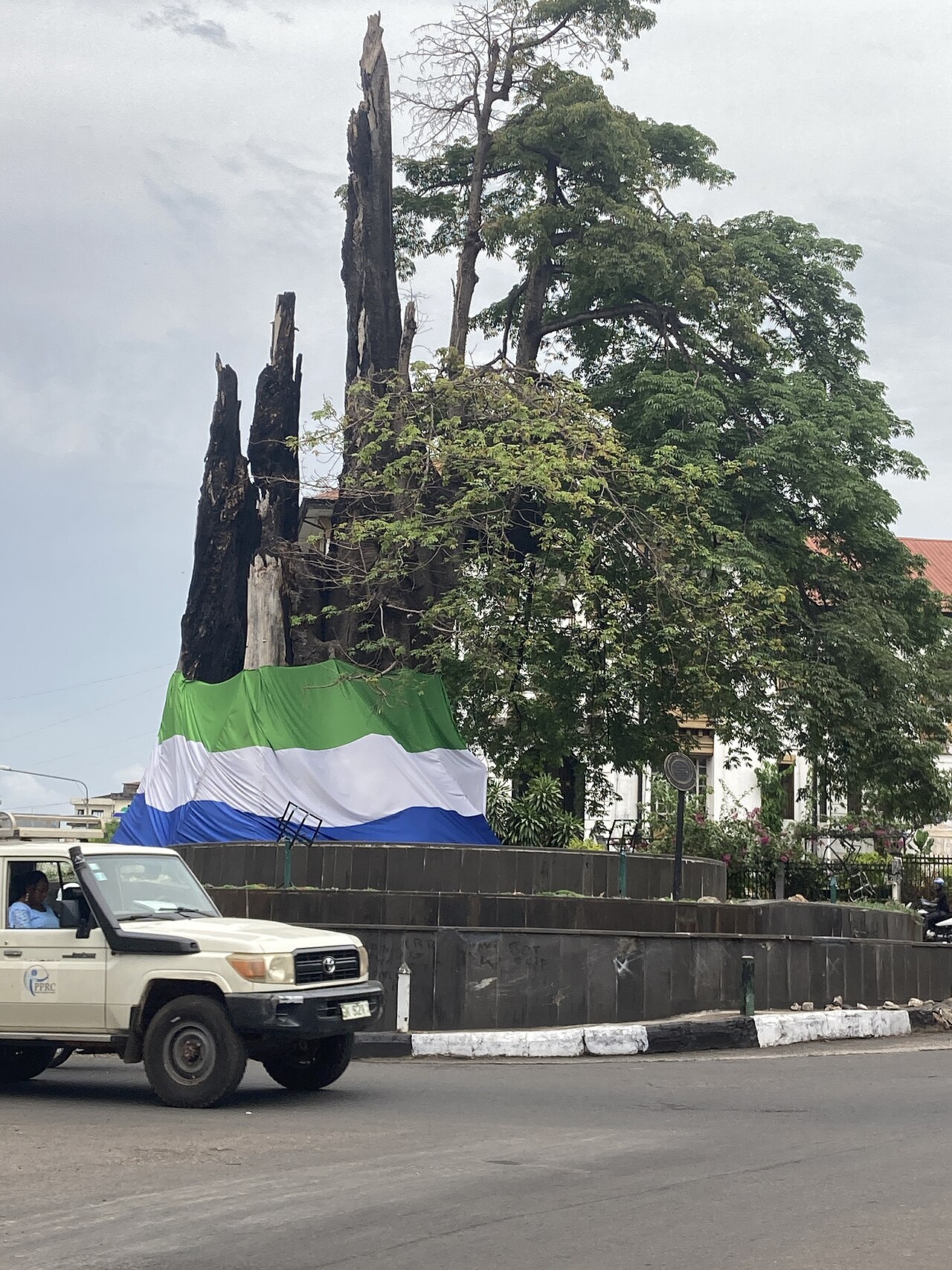 The Cotton Tree stump with the Sierra Leonean flag, Freetown