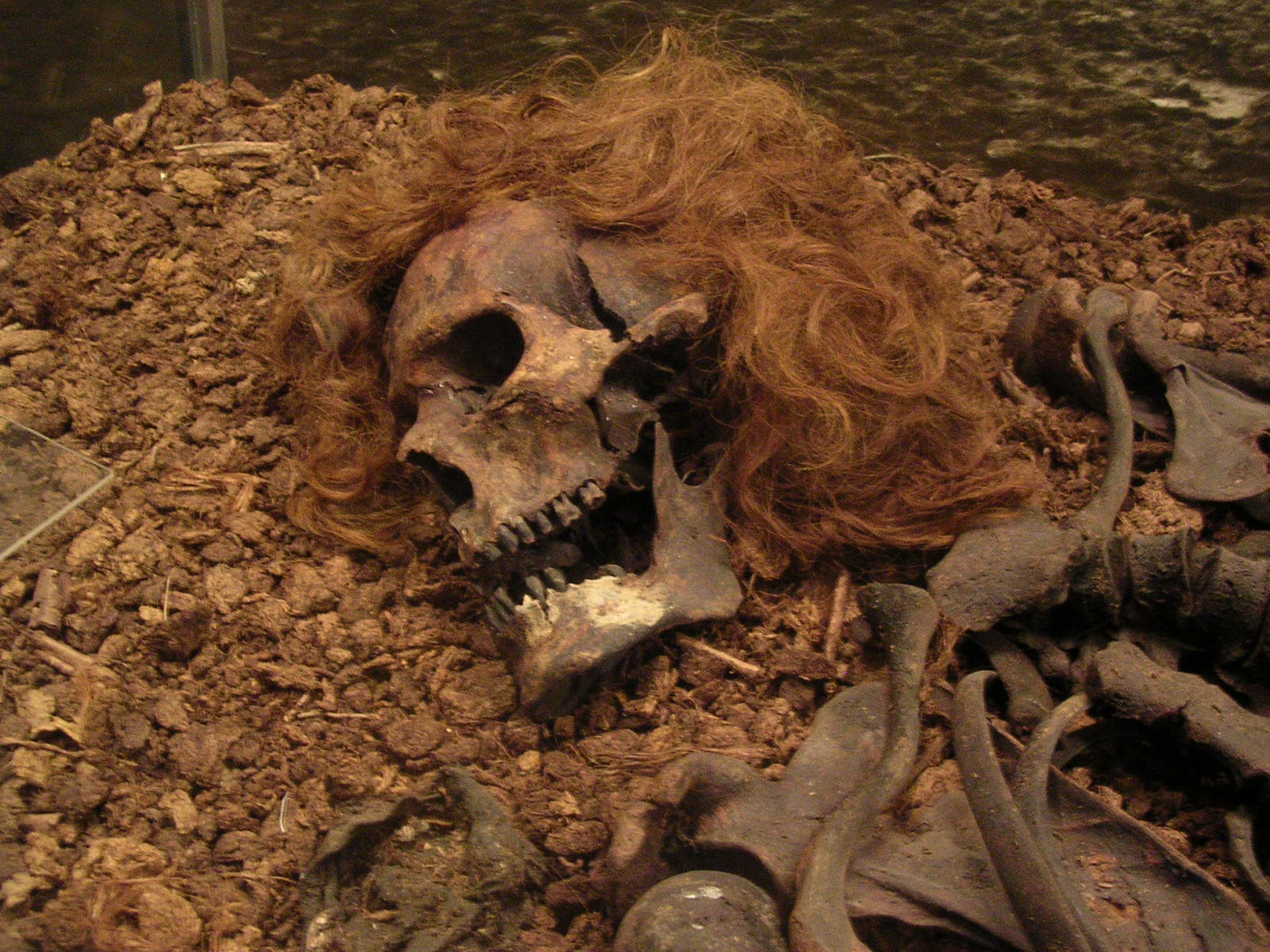 The Bocksten Man bog body display, Halland Museum, Sweden