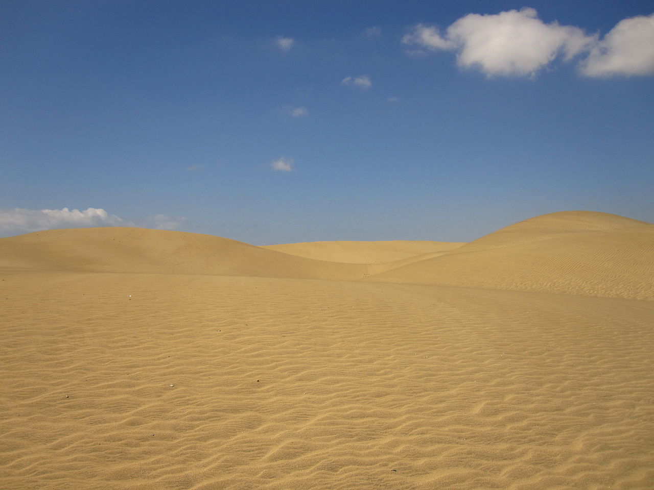 Maspalomas sand dunes, Gran Canaria