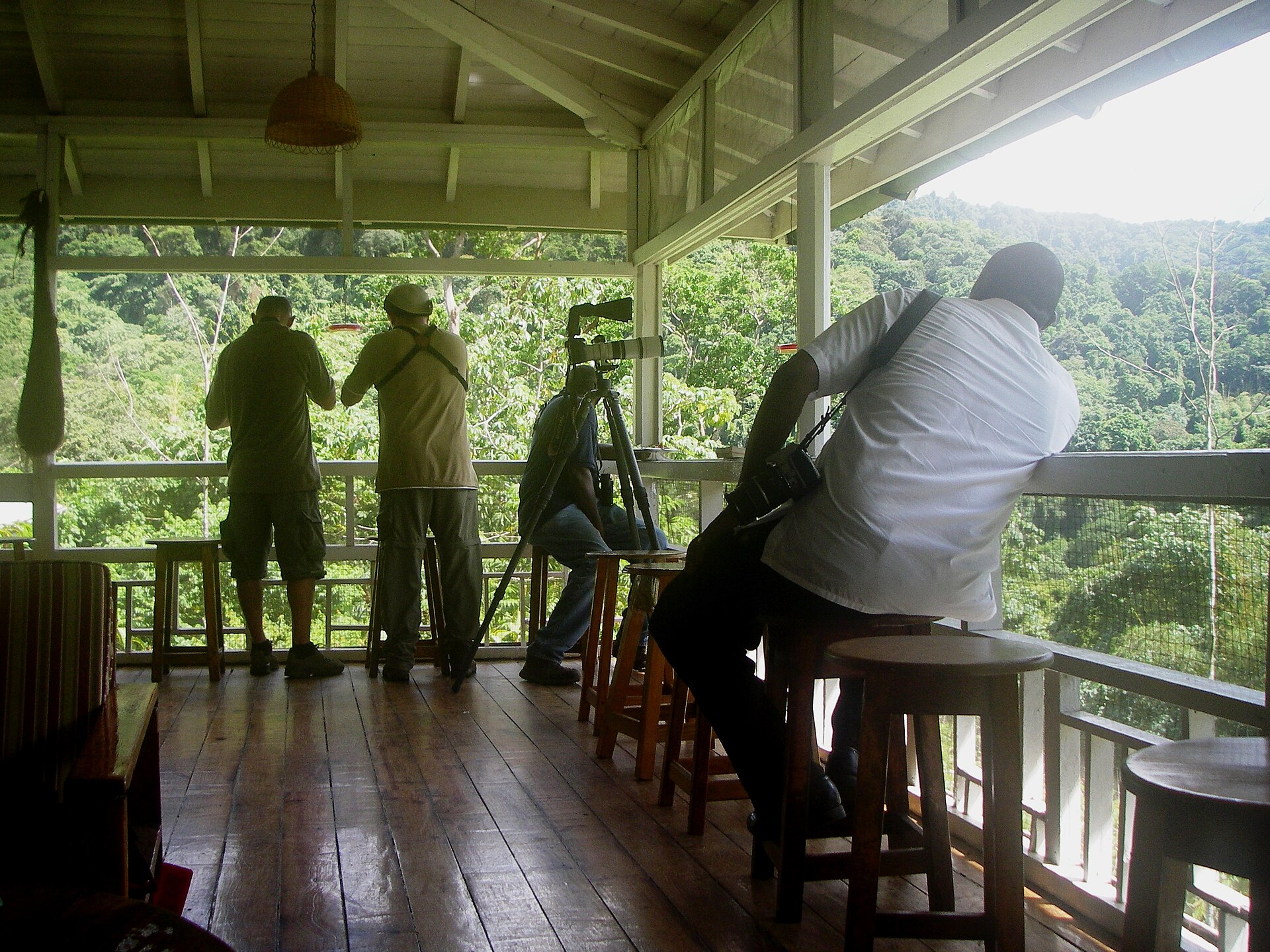 Asa Wright Nature Centre, Arima Valley, Trinidad