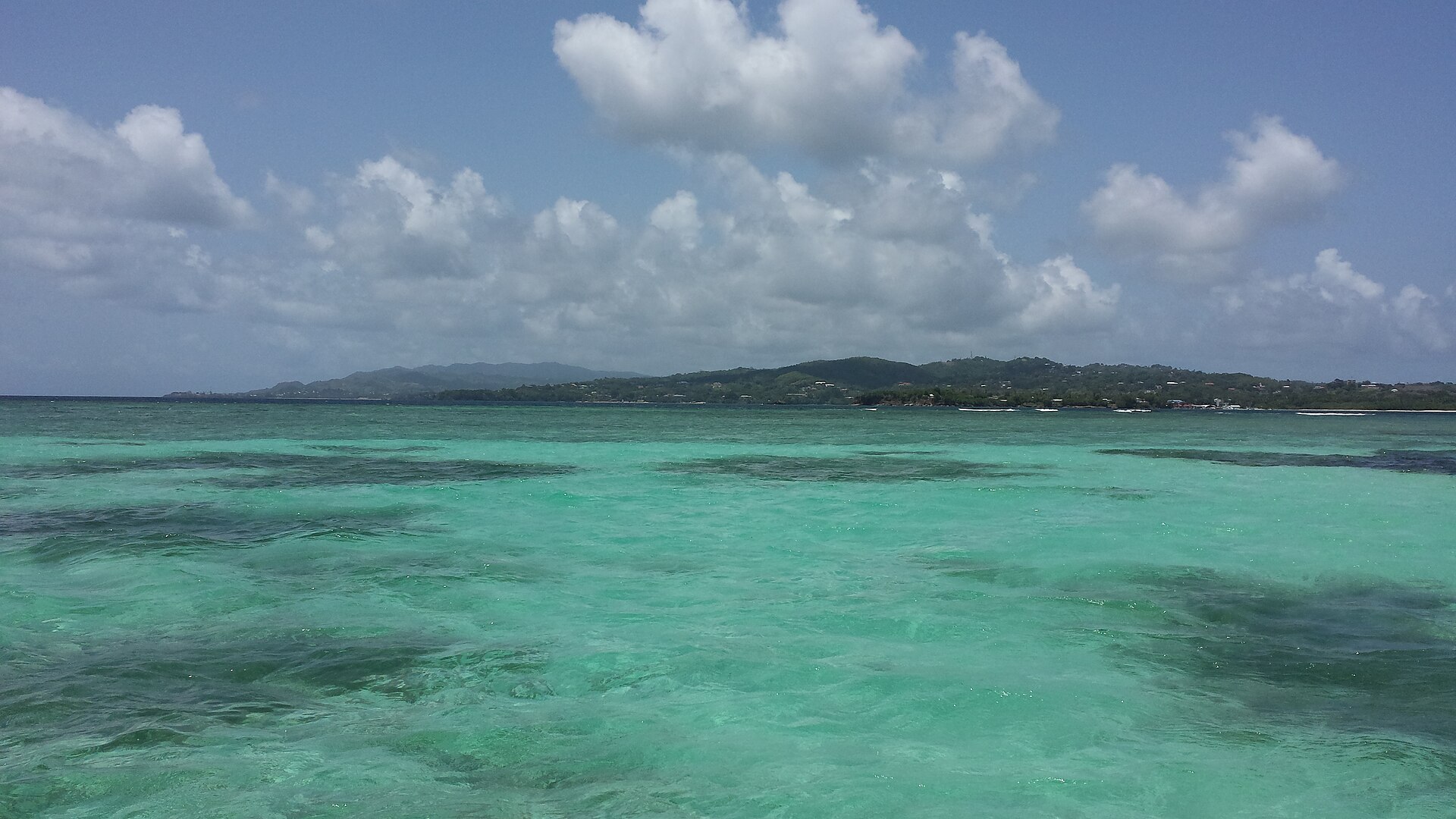 Buccoo Reef Marine Park, Tobago