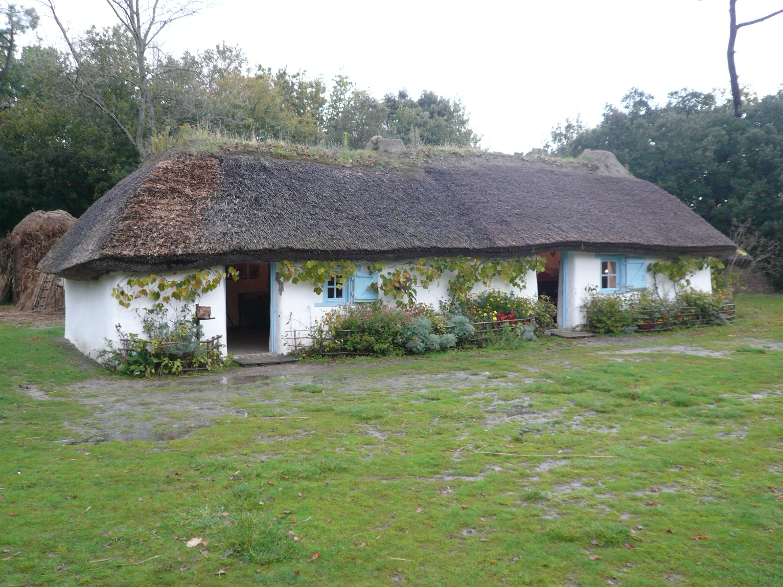 Musée de la Bourrine du Bois-Juquaud, traditional Vendée marsh house