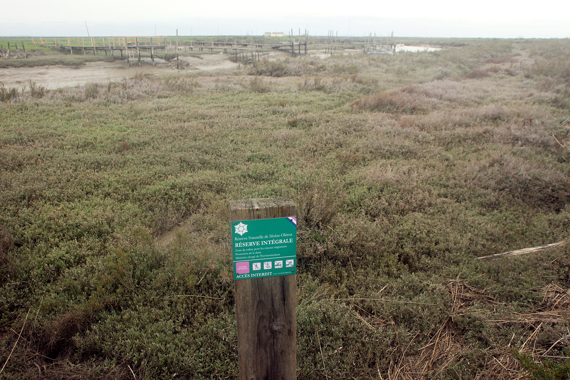 Réserve naturelle de Moëze-Oléron marshland