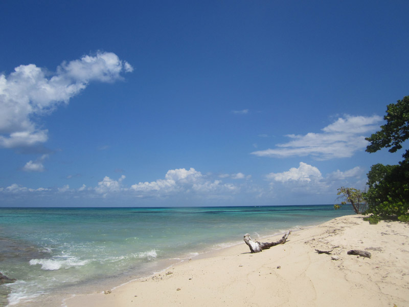 Buck Island Reef National Monument, off St. Croix, US Virgin Islands