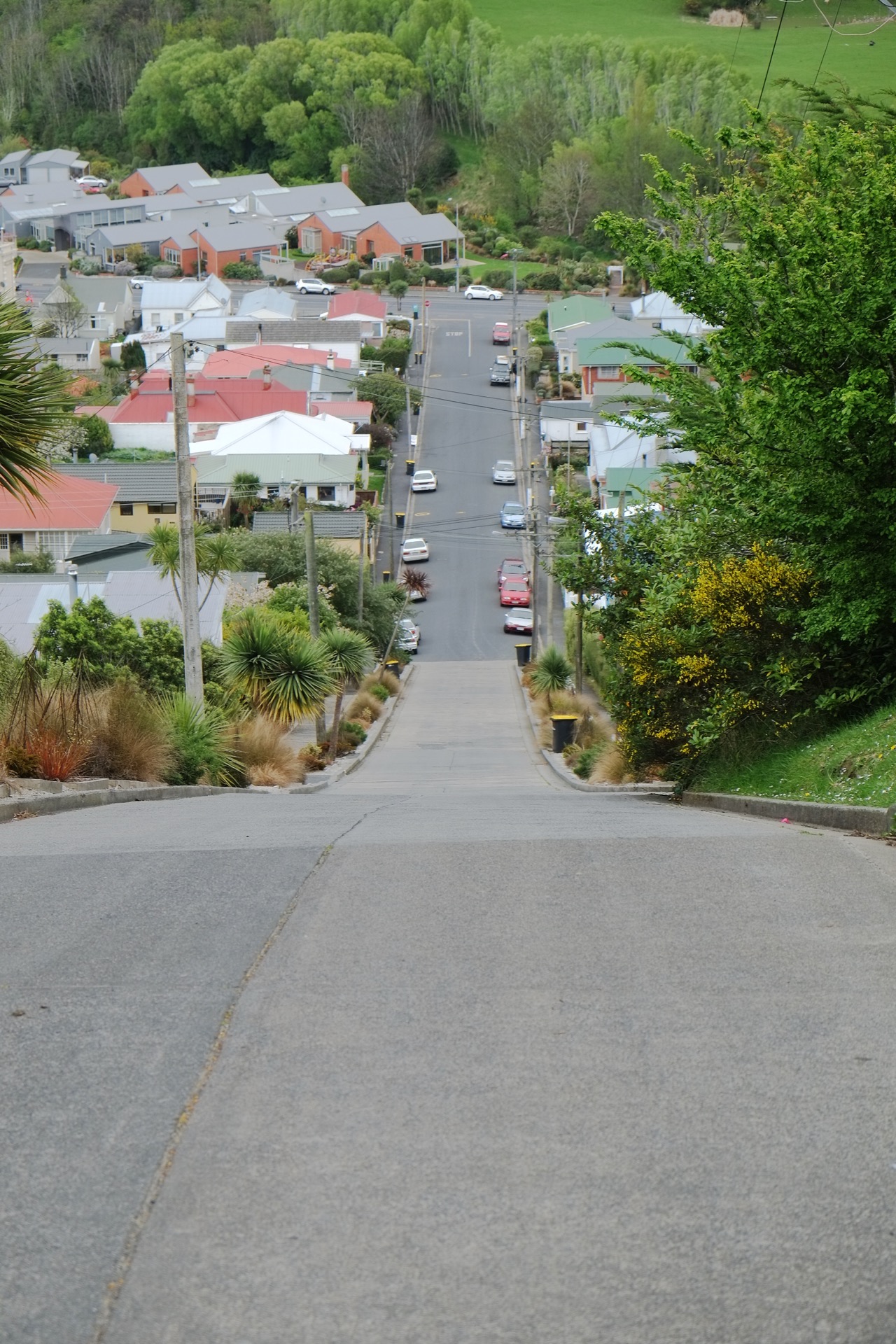 Baldwin Street, the world's steepest residential street, Dunedin, New Zealand