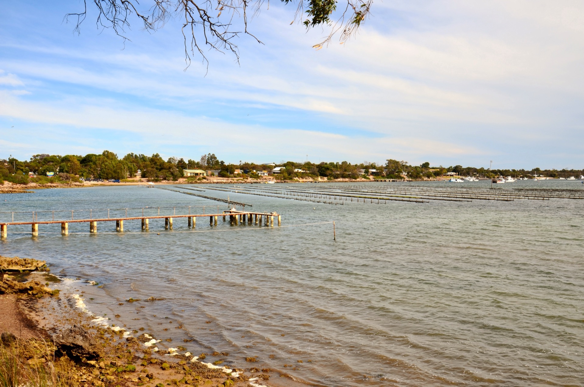 Oyster beds, Coffin Bay, South Australia, Australia